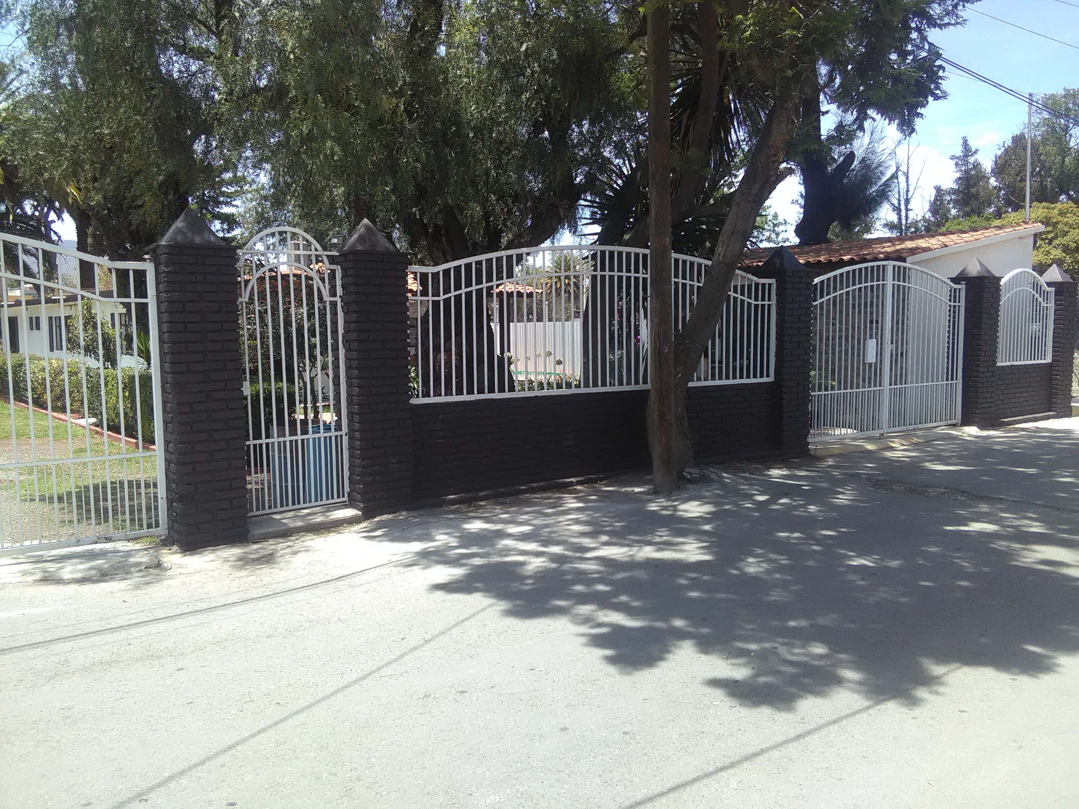 Restaurante Palmas Teotihuacán image 3