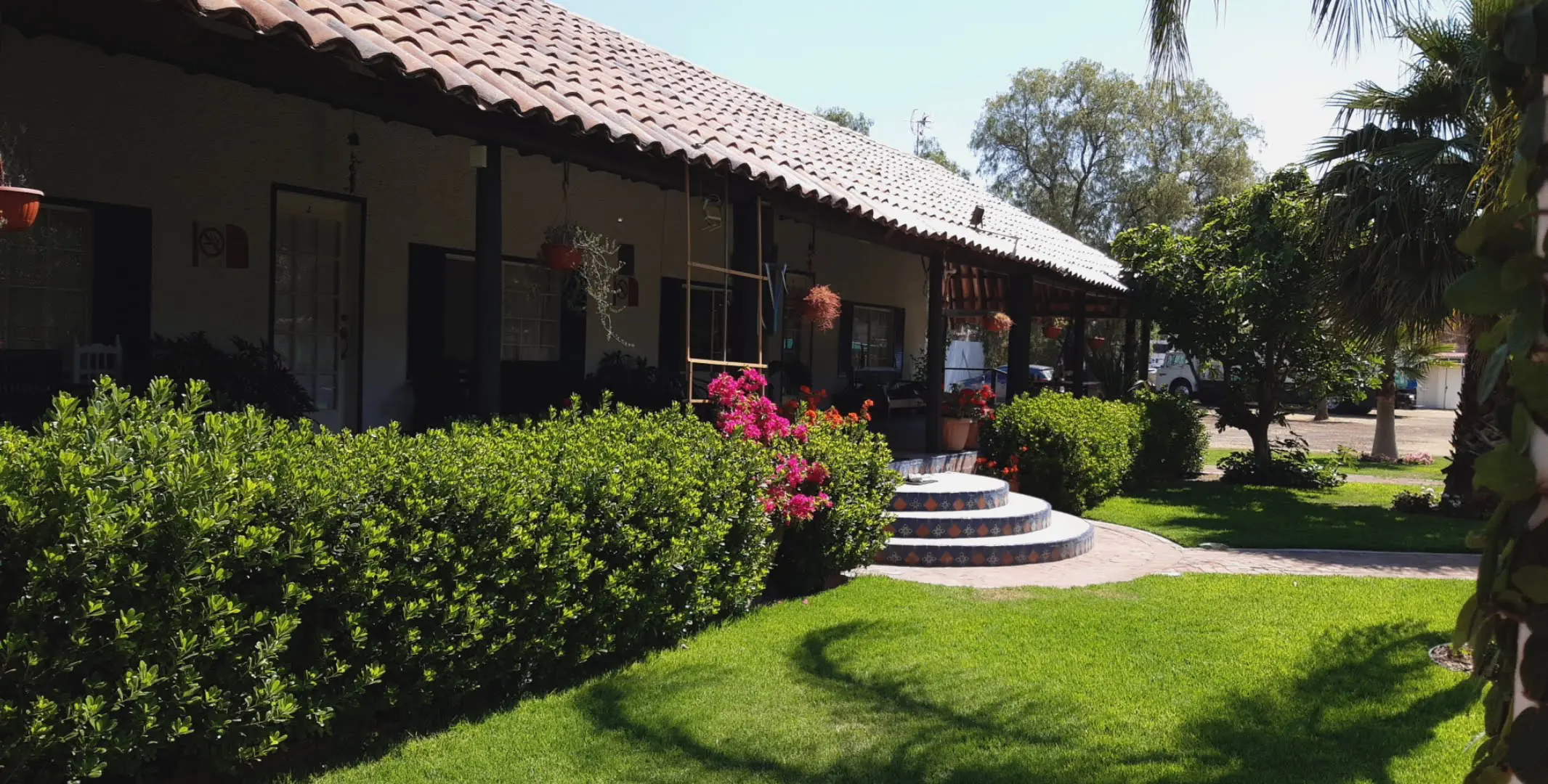 Restaurante Palmas Teotihuacán image 7