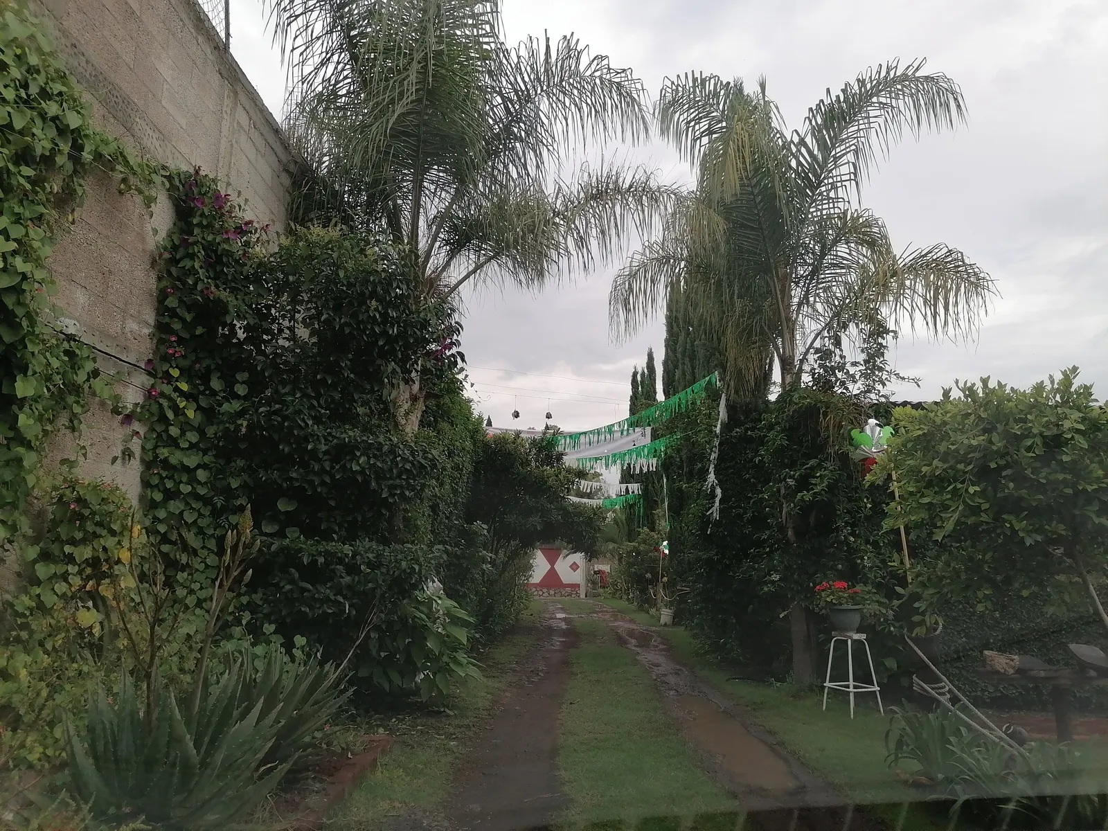 Los Adobes image 9