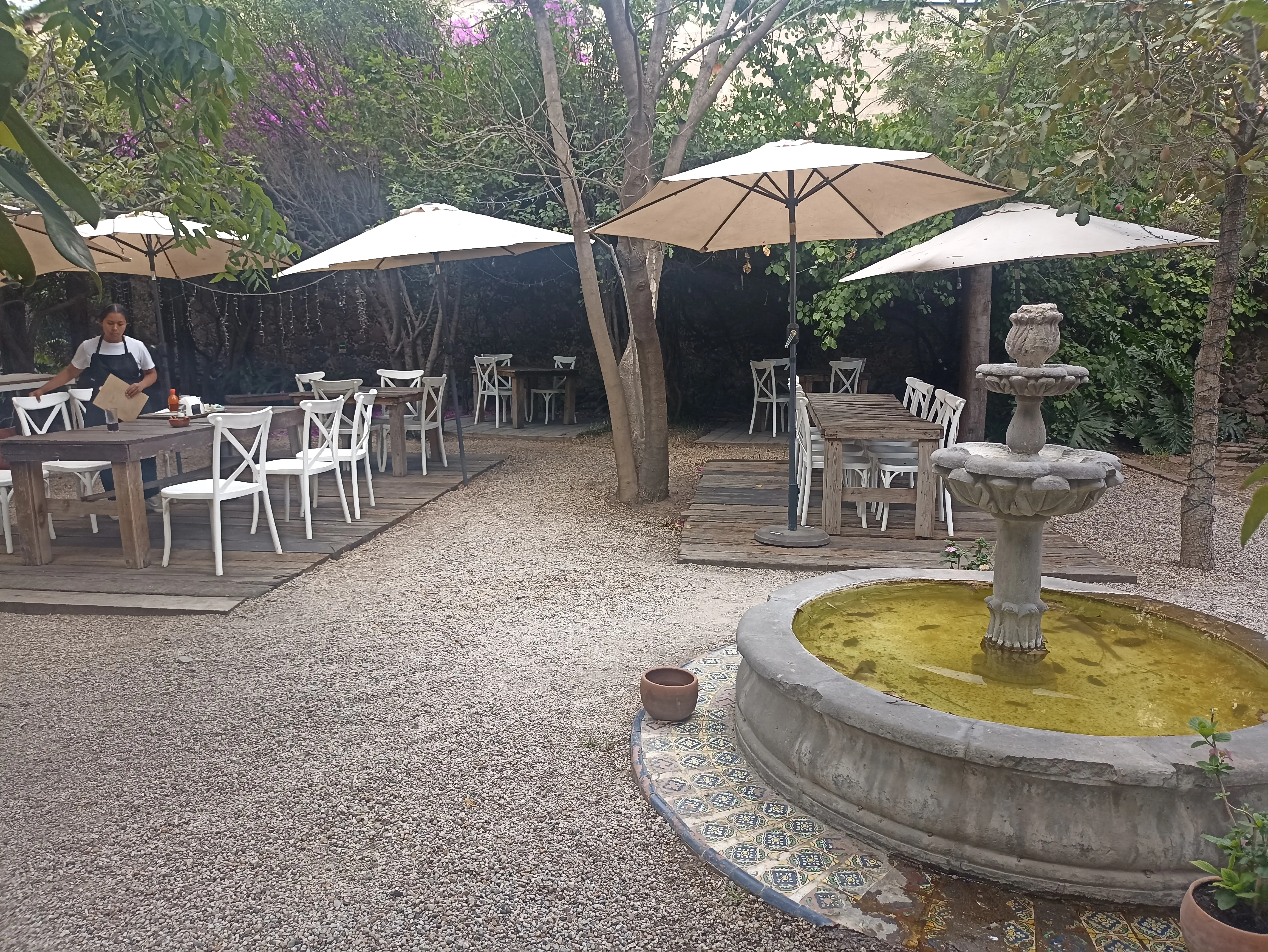 Restaurante Aguamiel image 6