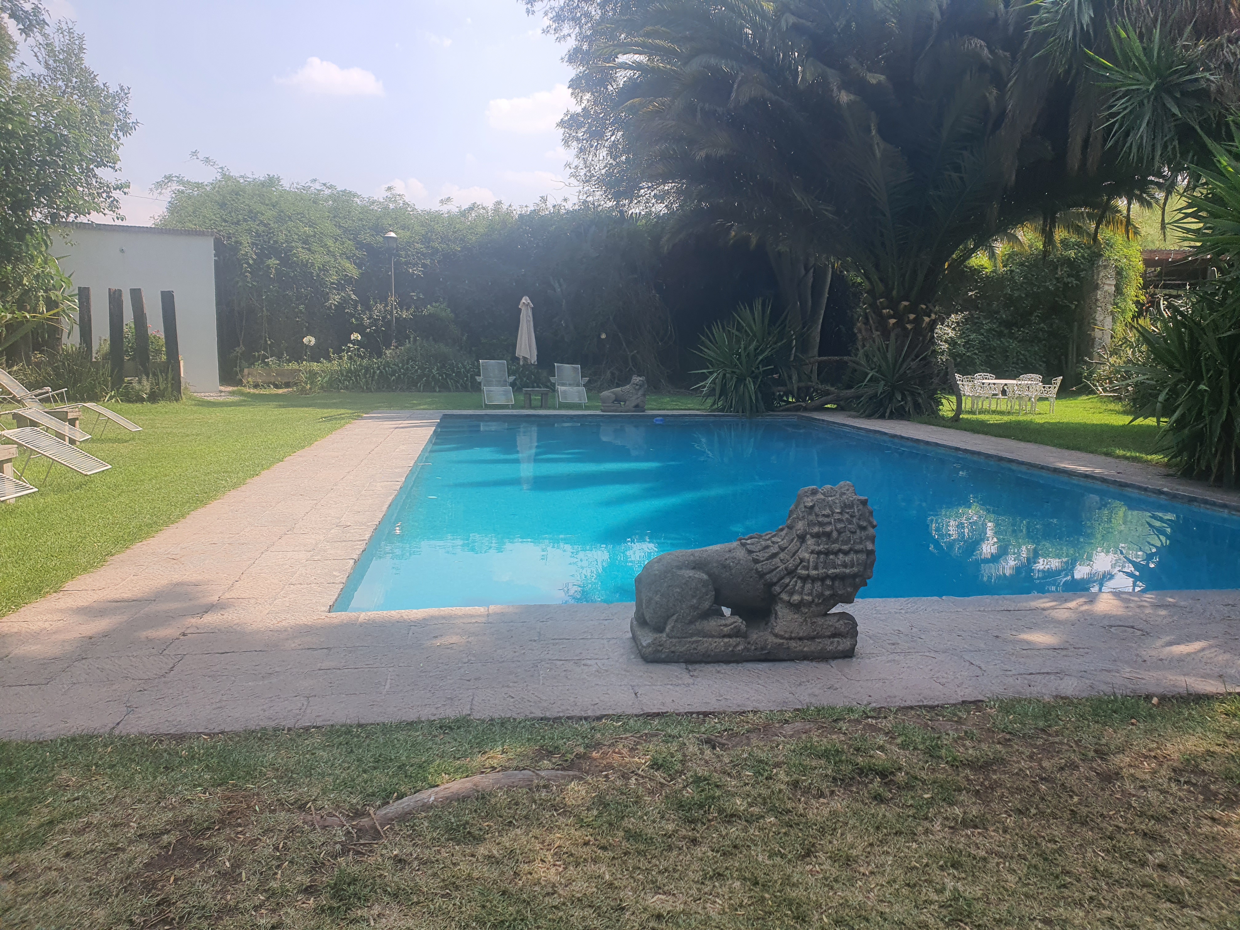 Restaurante Aguamiel image 7