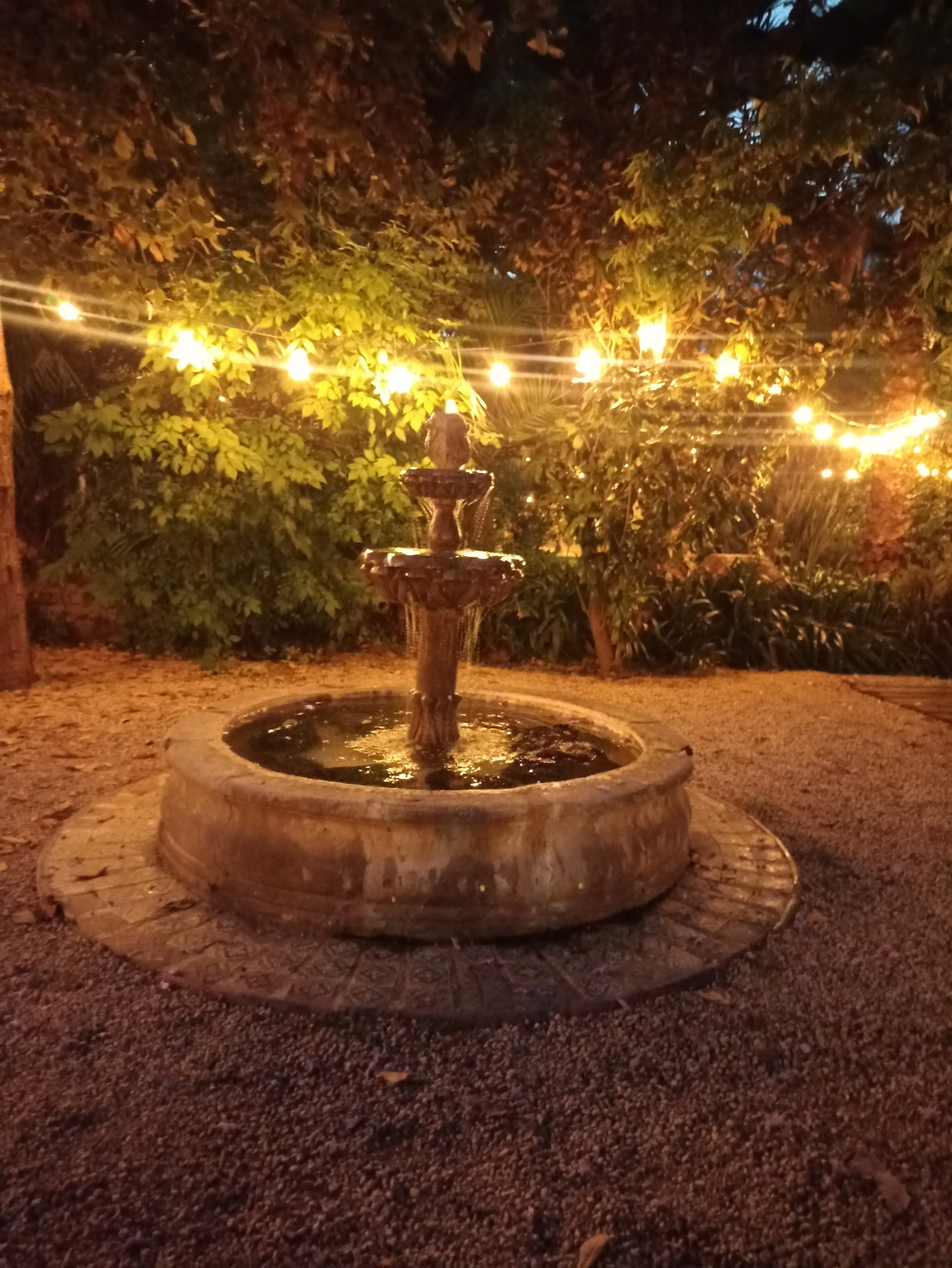 Restaurante Aguamiel image 10