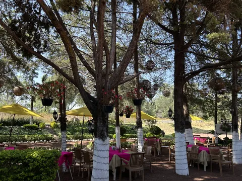 La Cabaña image 8