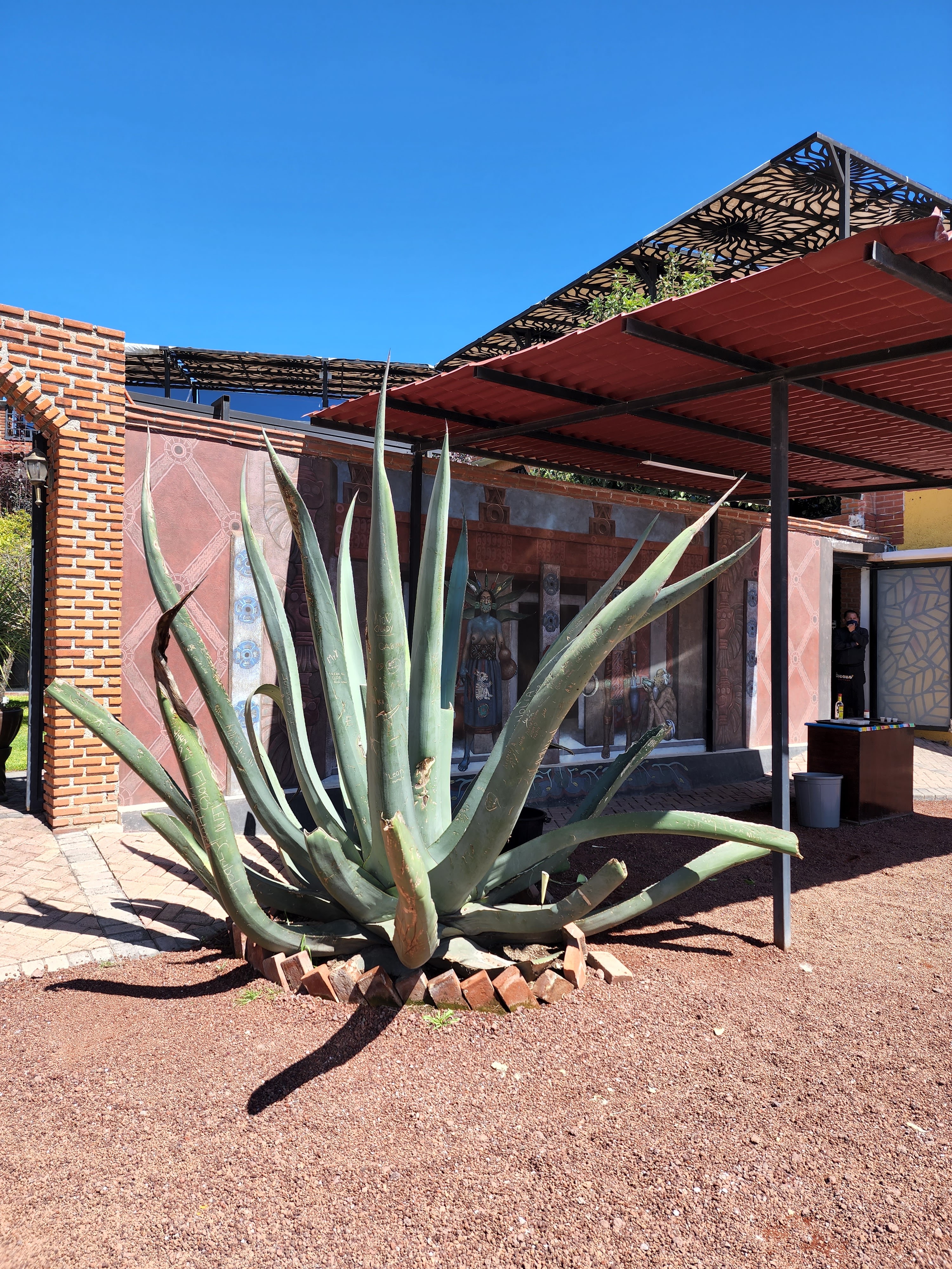 La Higuera Premier Teotihuacán image 6