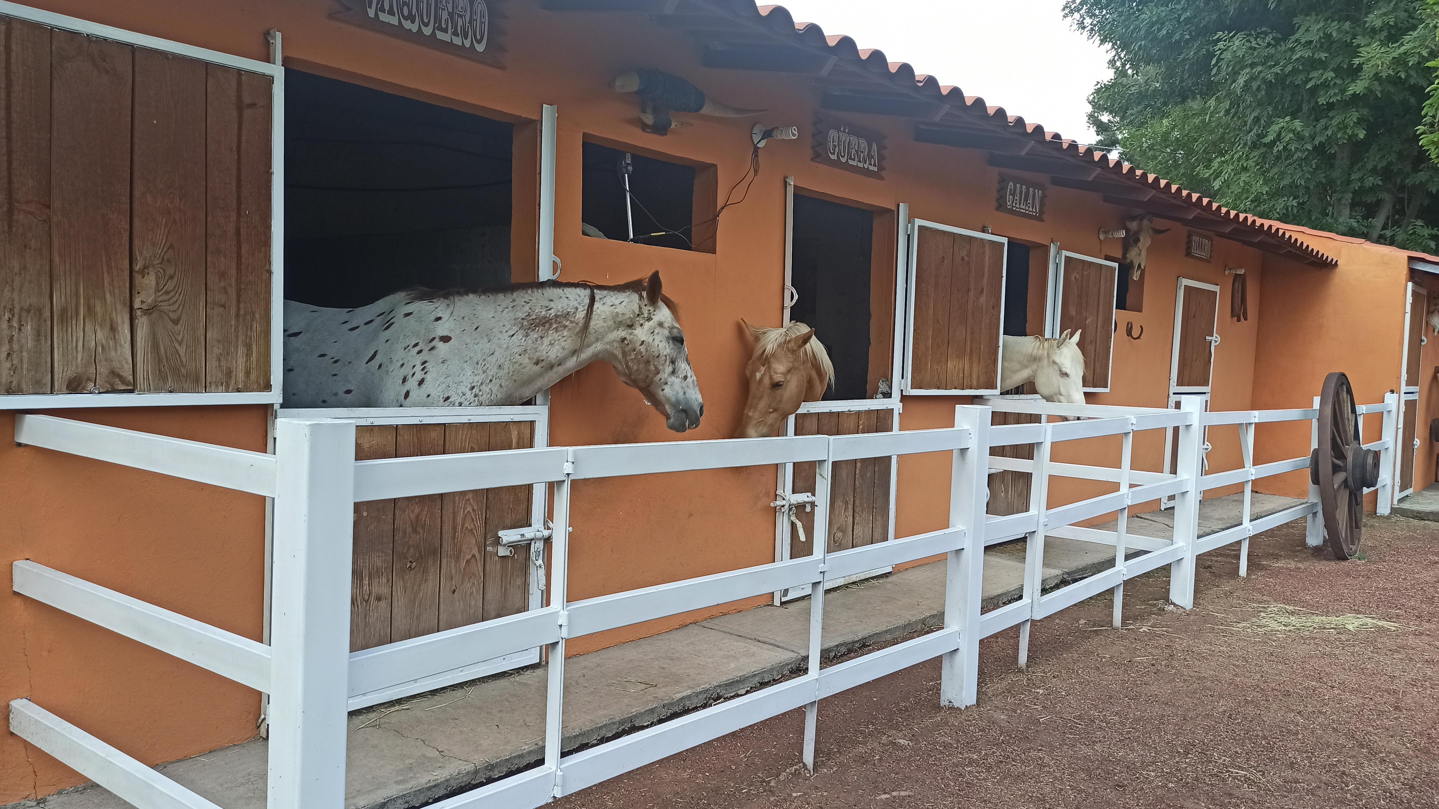 Rancho Cofradia image 8