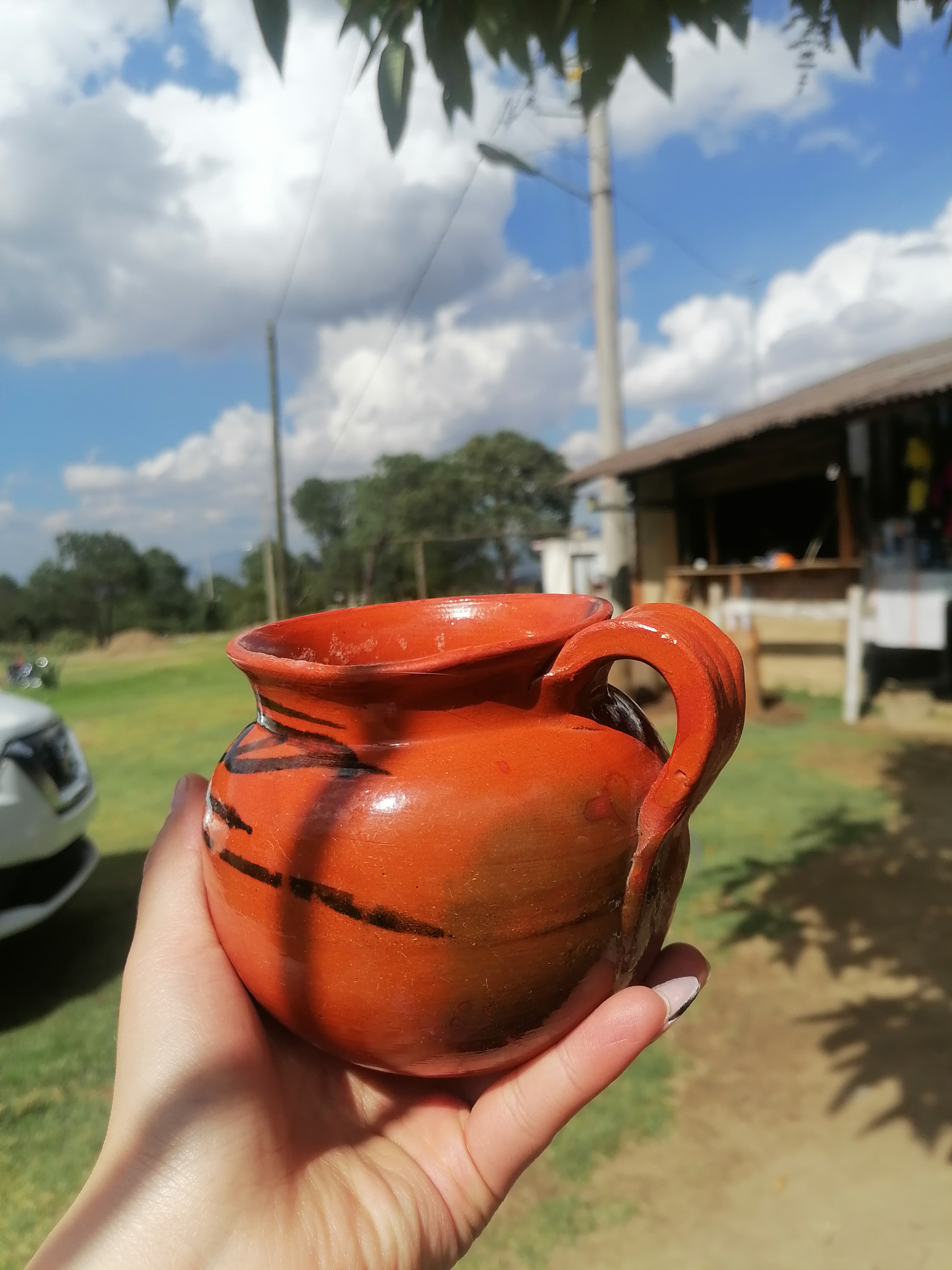 Pulques Los Ortega image 3