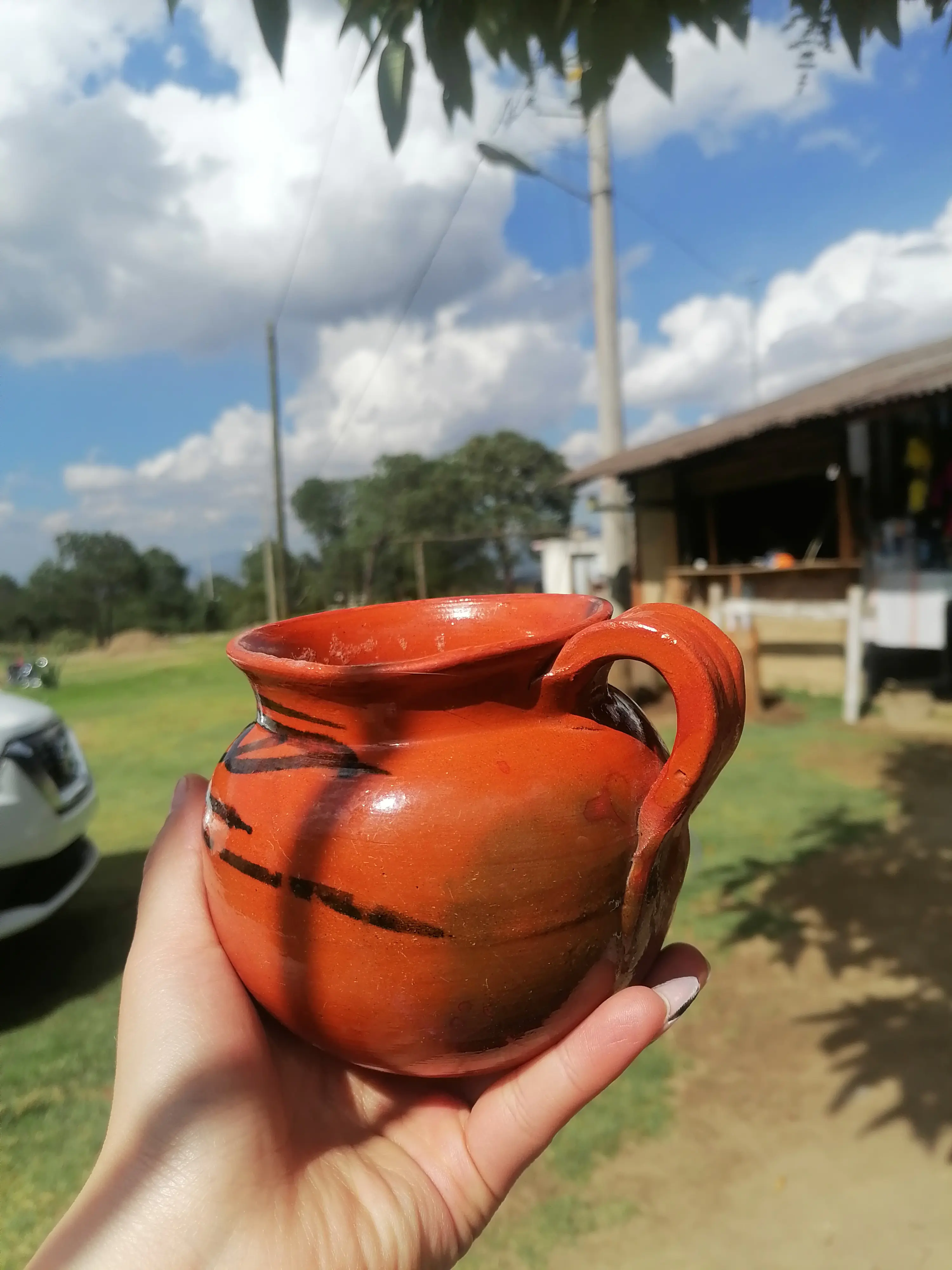 Pulques Los Ortega image 3