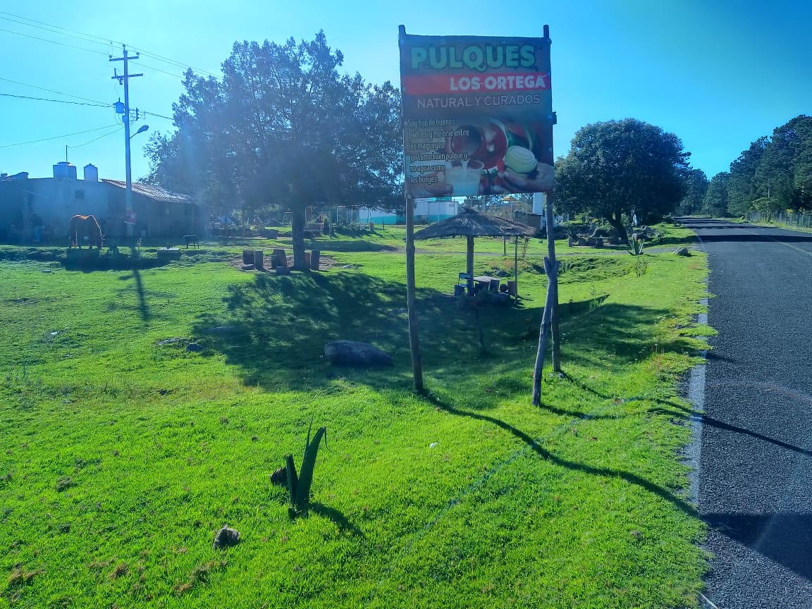 Pulques Los Ortega image 4