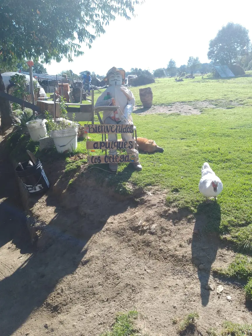 Pulques Los Ortega image 8