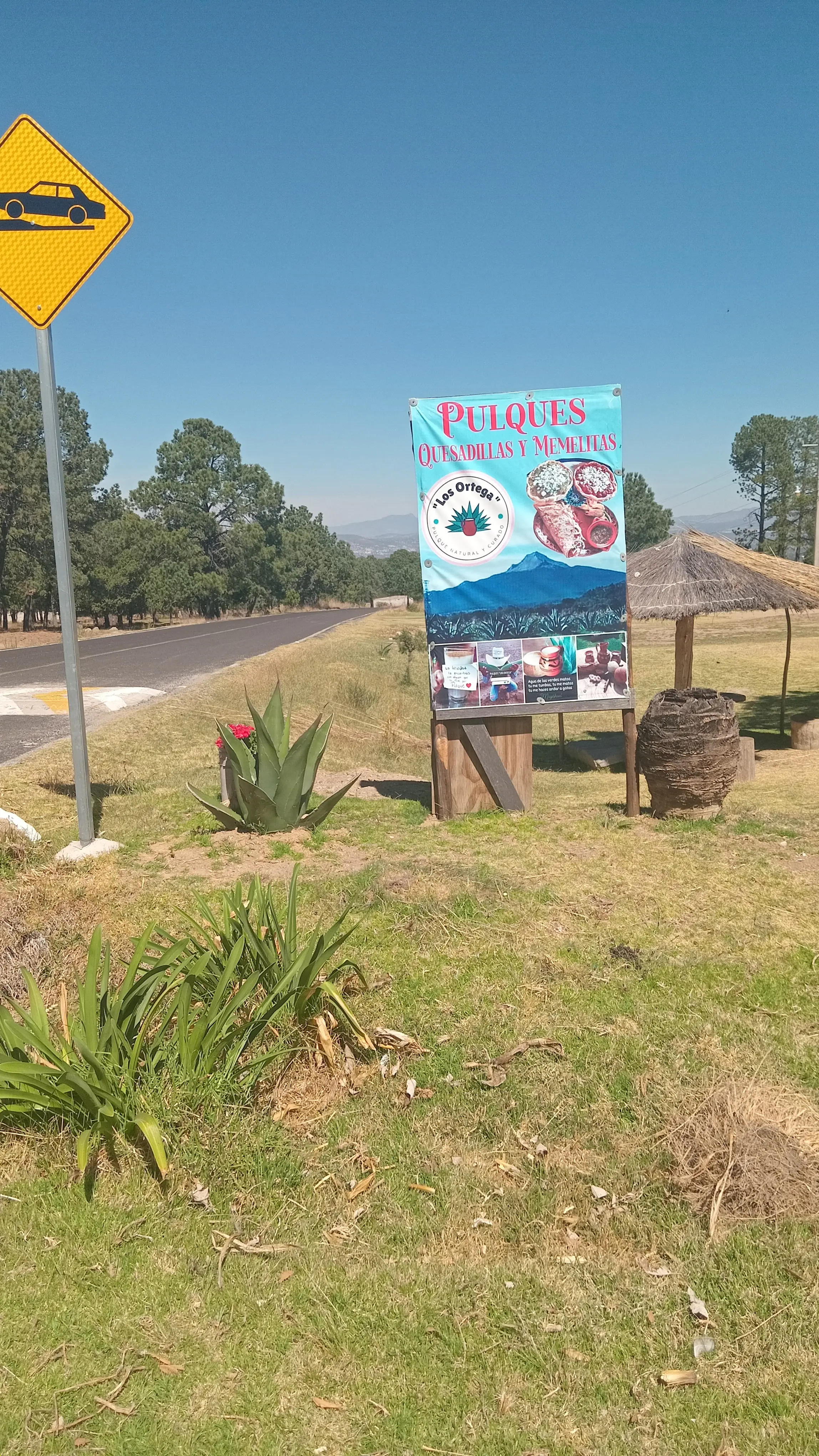 Pulques Los Ortega image 10