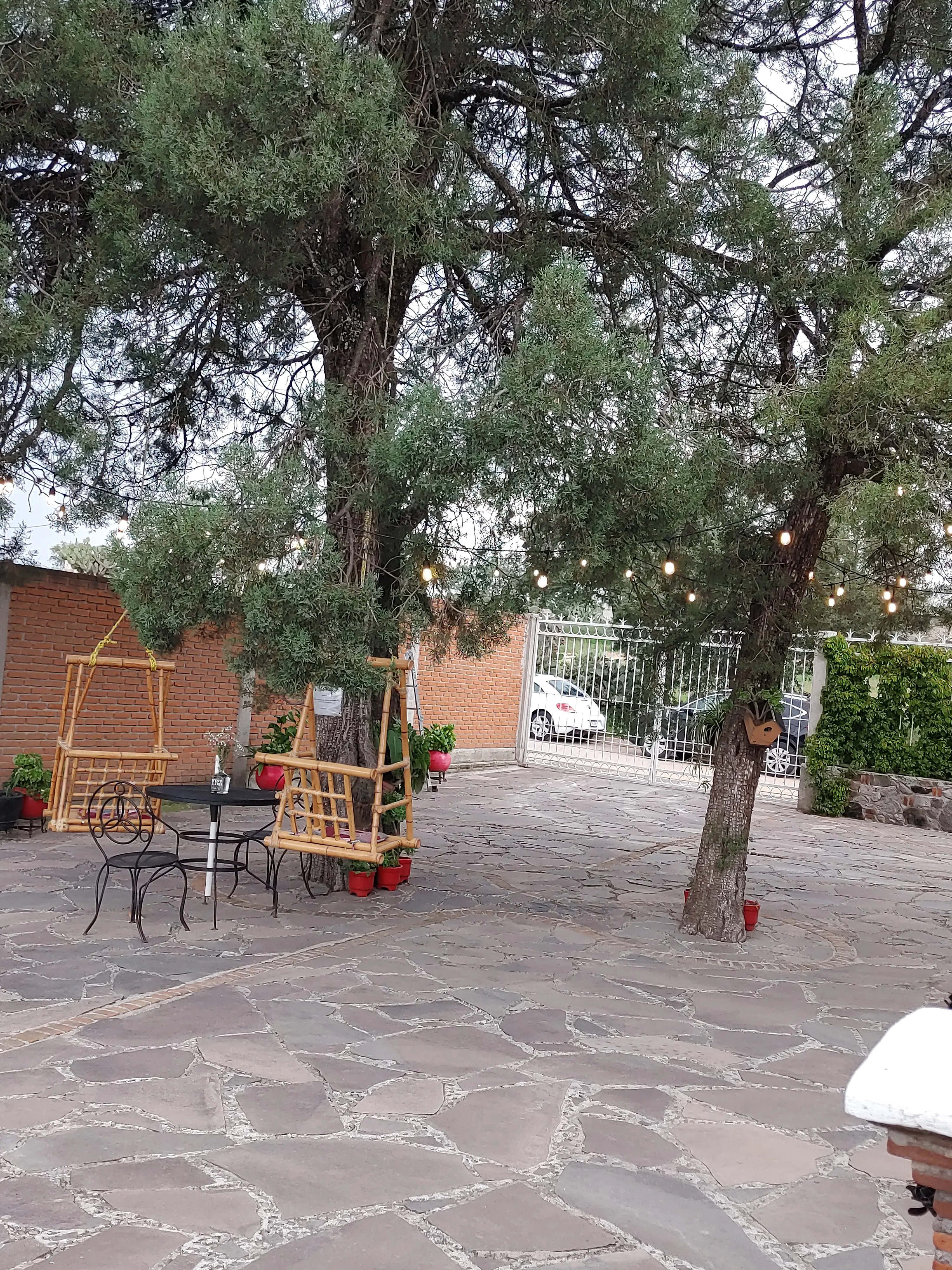 Restaurante "Pizza Campestre" image 7