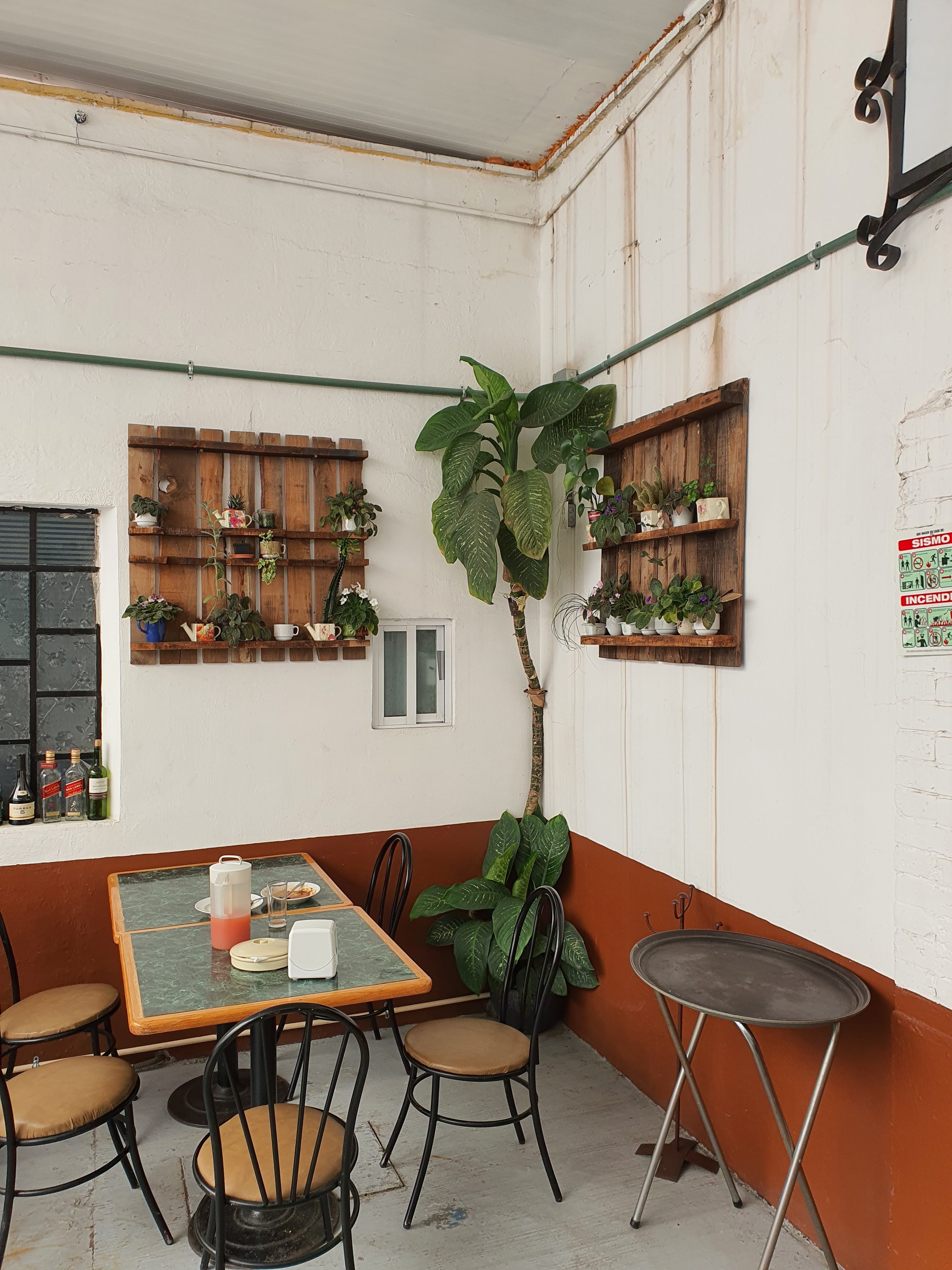 Restaurante Ex Camino Real image 5