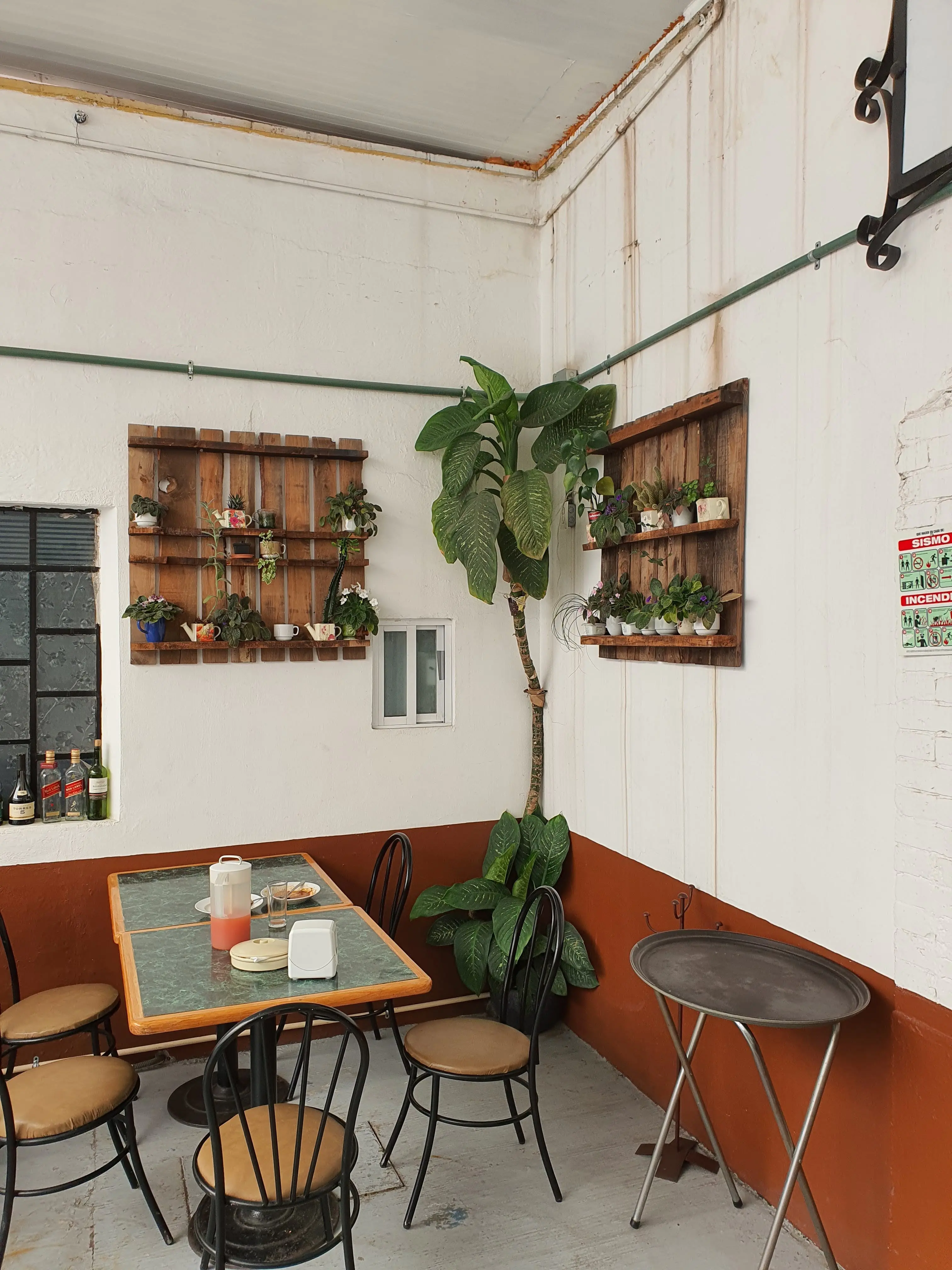 Restaurante Ex Camino Real image 5