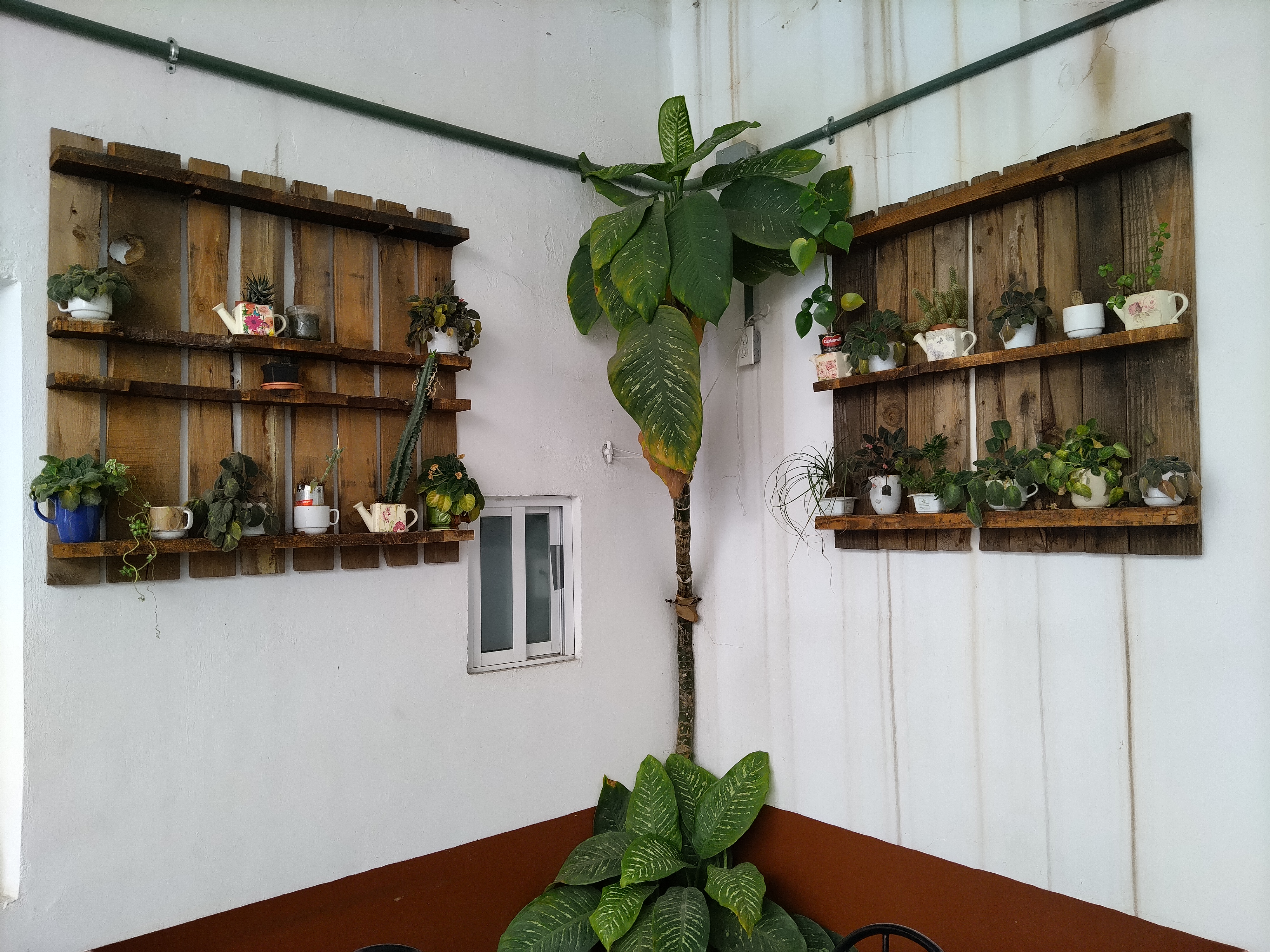 Restaurante Ex Camino Real image 7