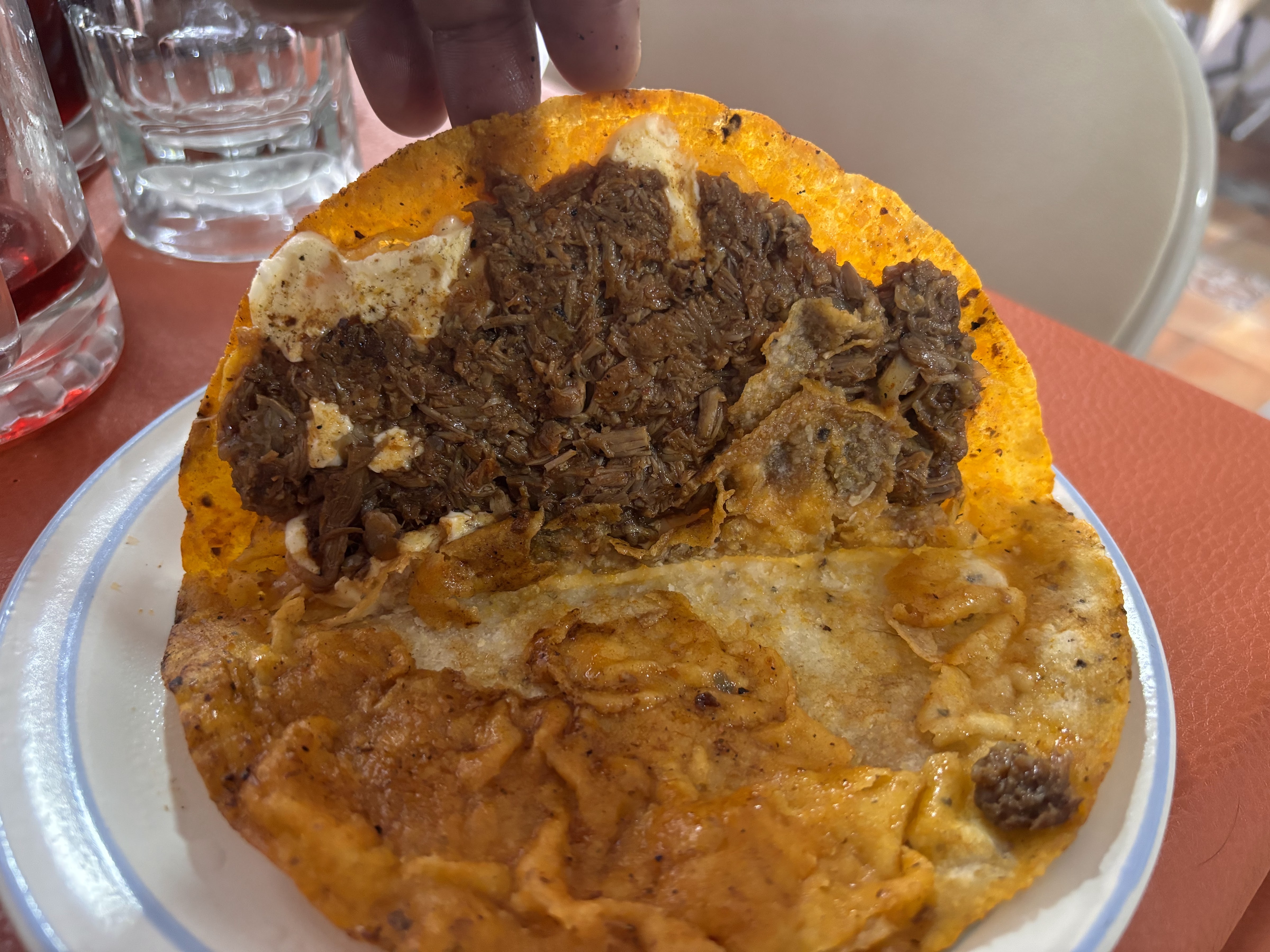 Los Cactus restaurante image 1