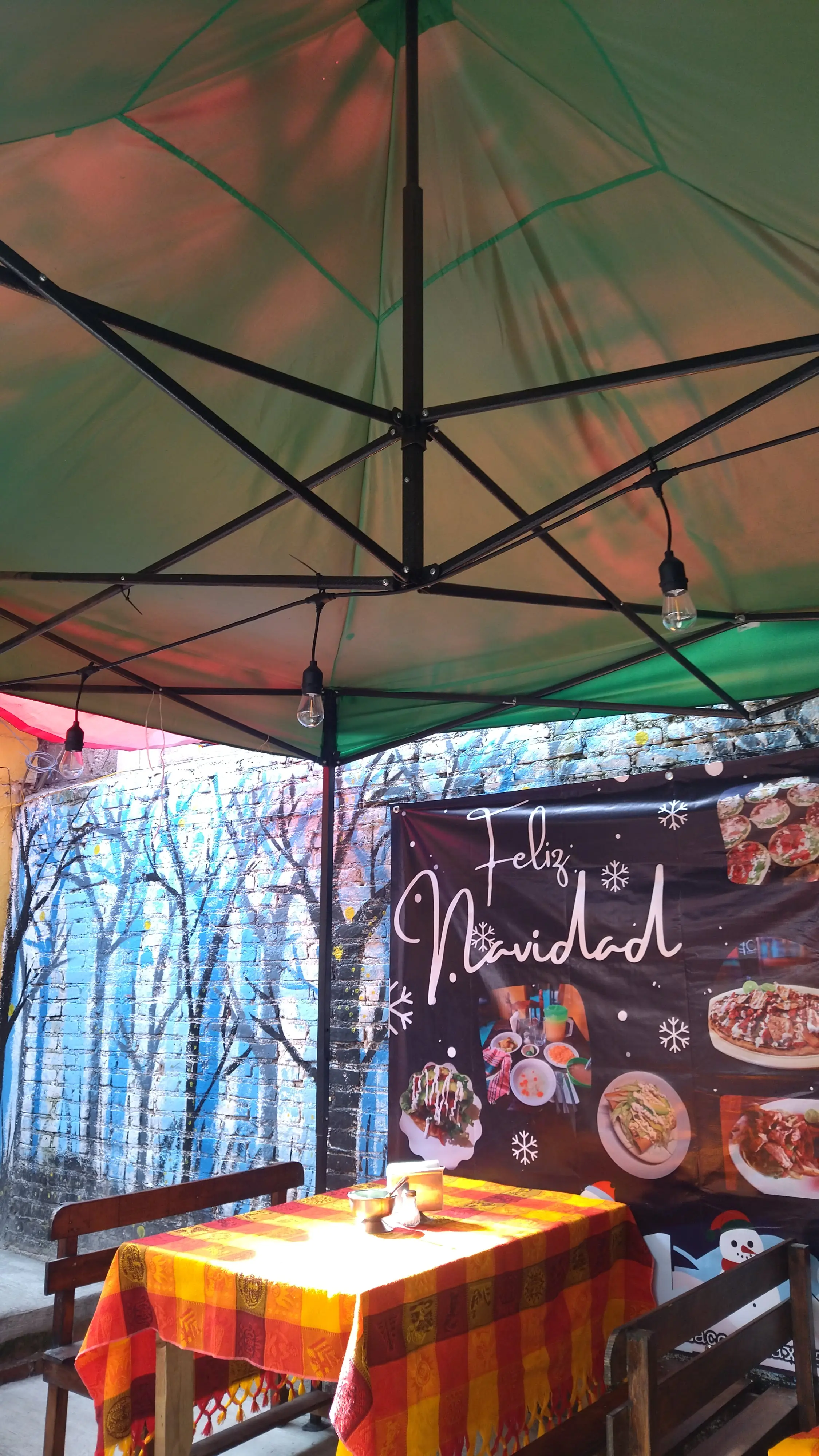 La Tlaxqueña de Nanacamilpa image 3