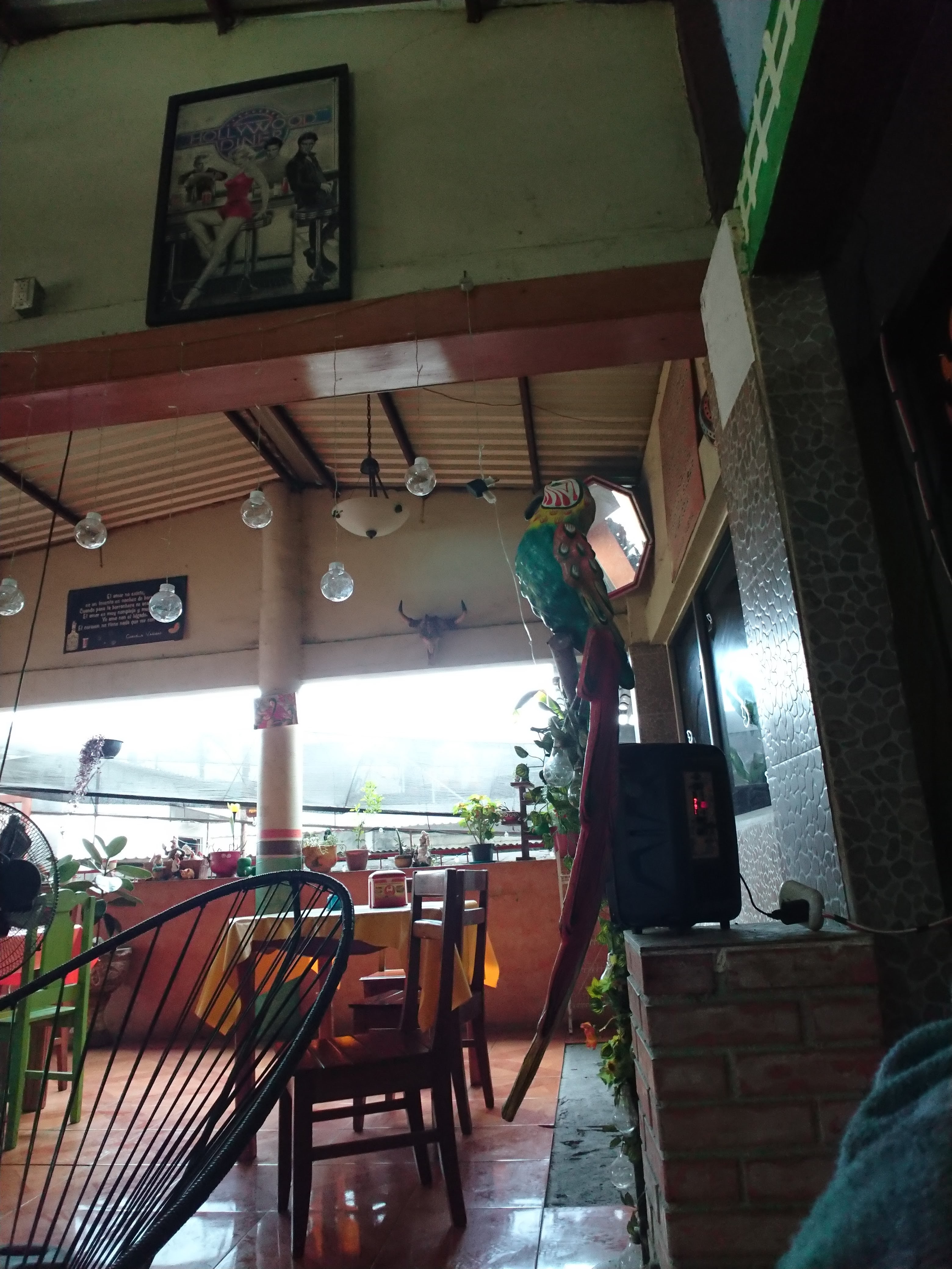 Asadero "Mis Pollitos" image 3