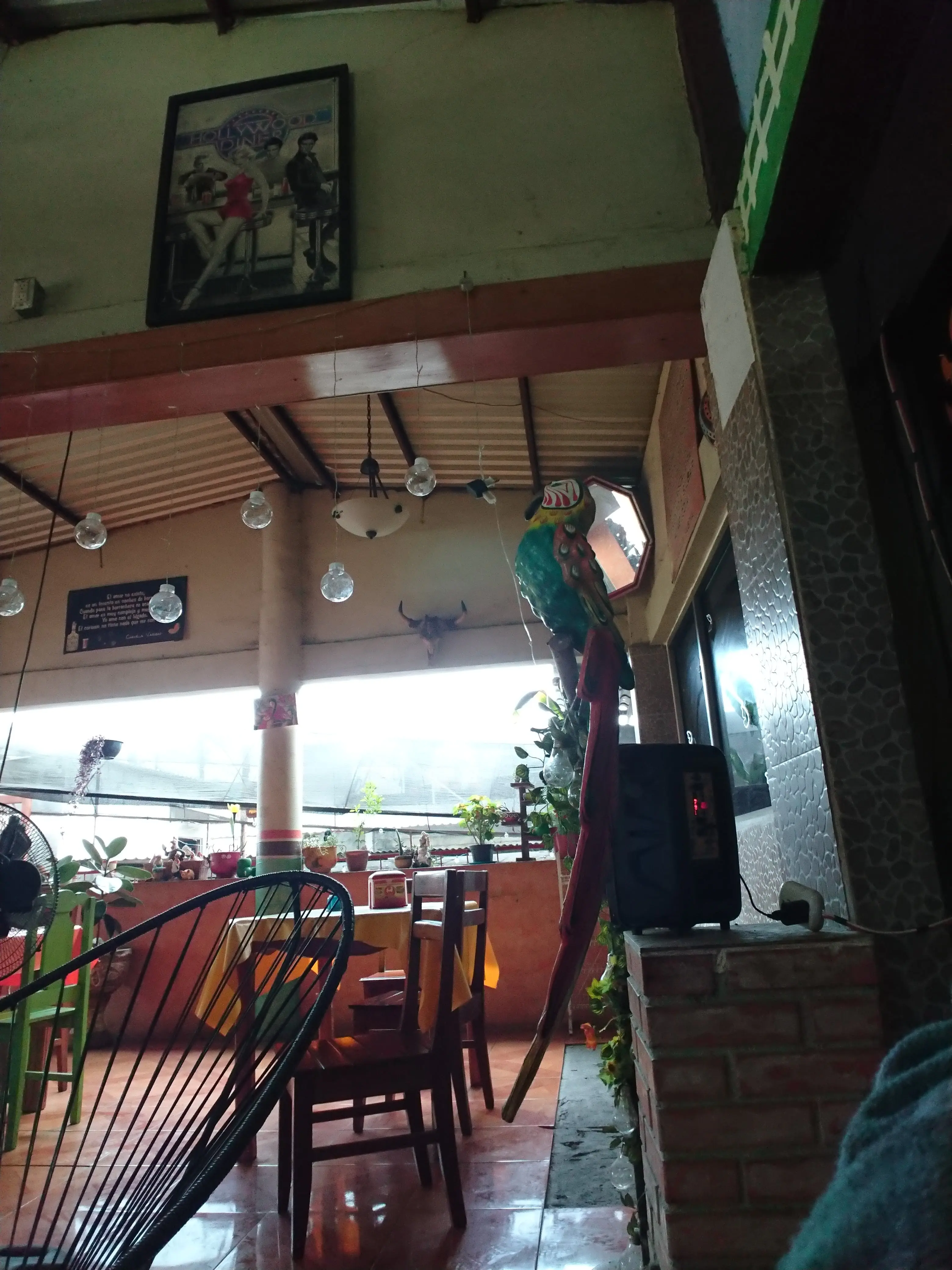 Asadero "Mis Pollitos" image 3