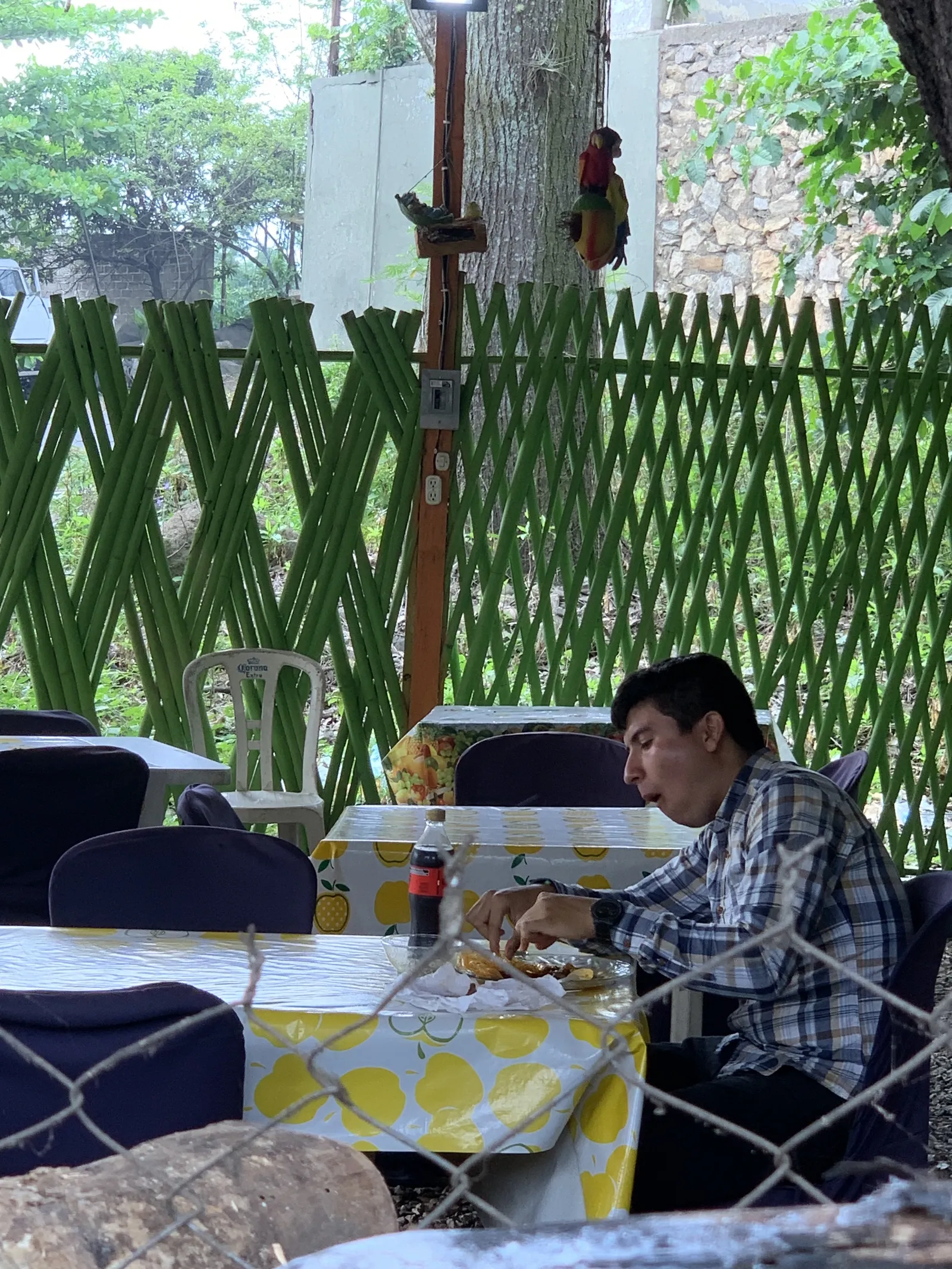 Asadero Brenda image 7