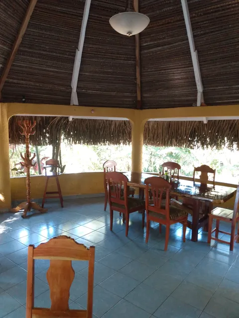 Restaurante,Las palmas image 1