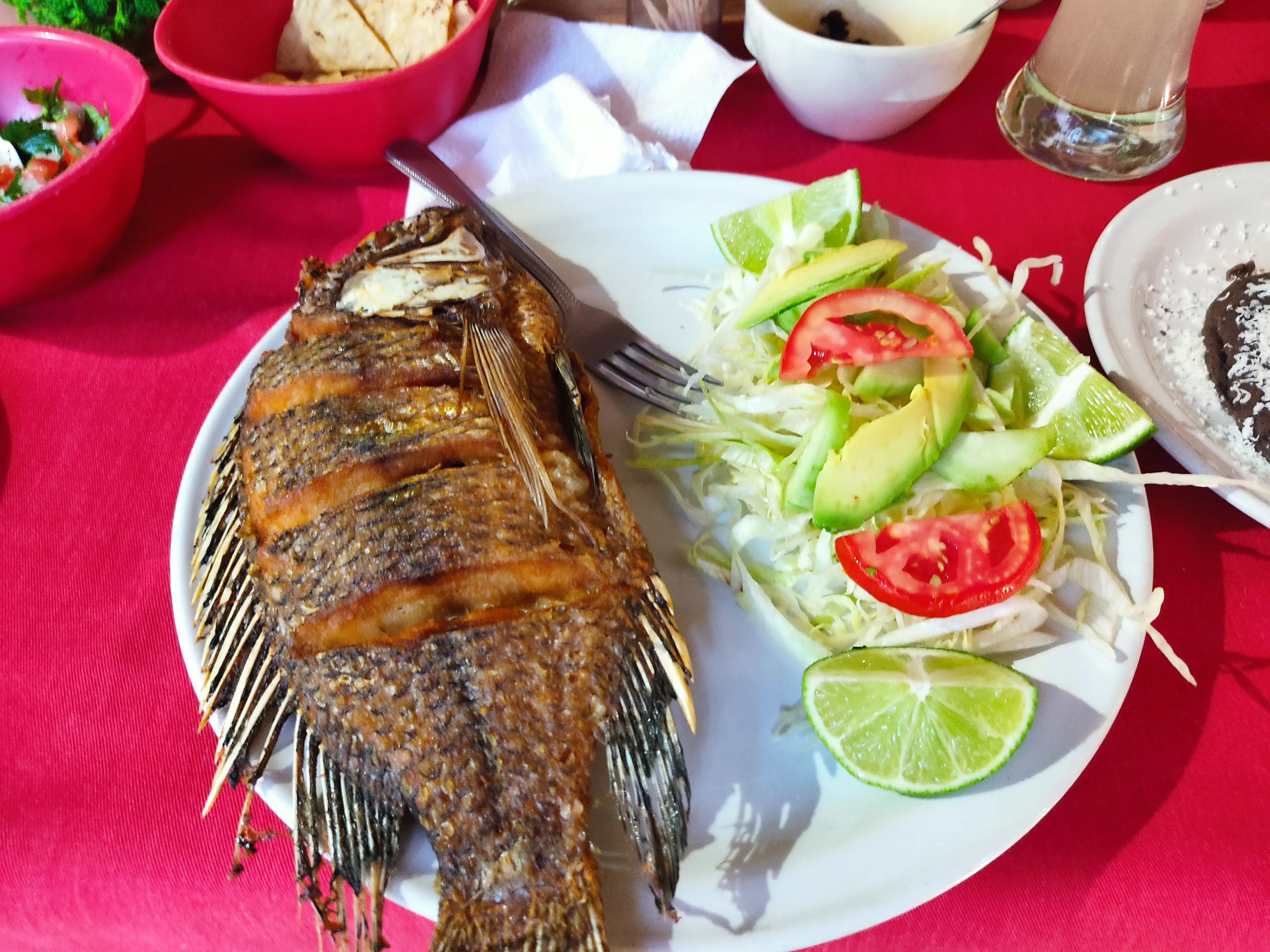 Restaurante,Las palmas image 8