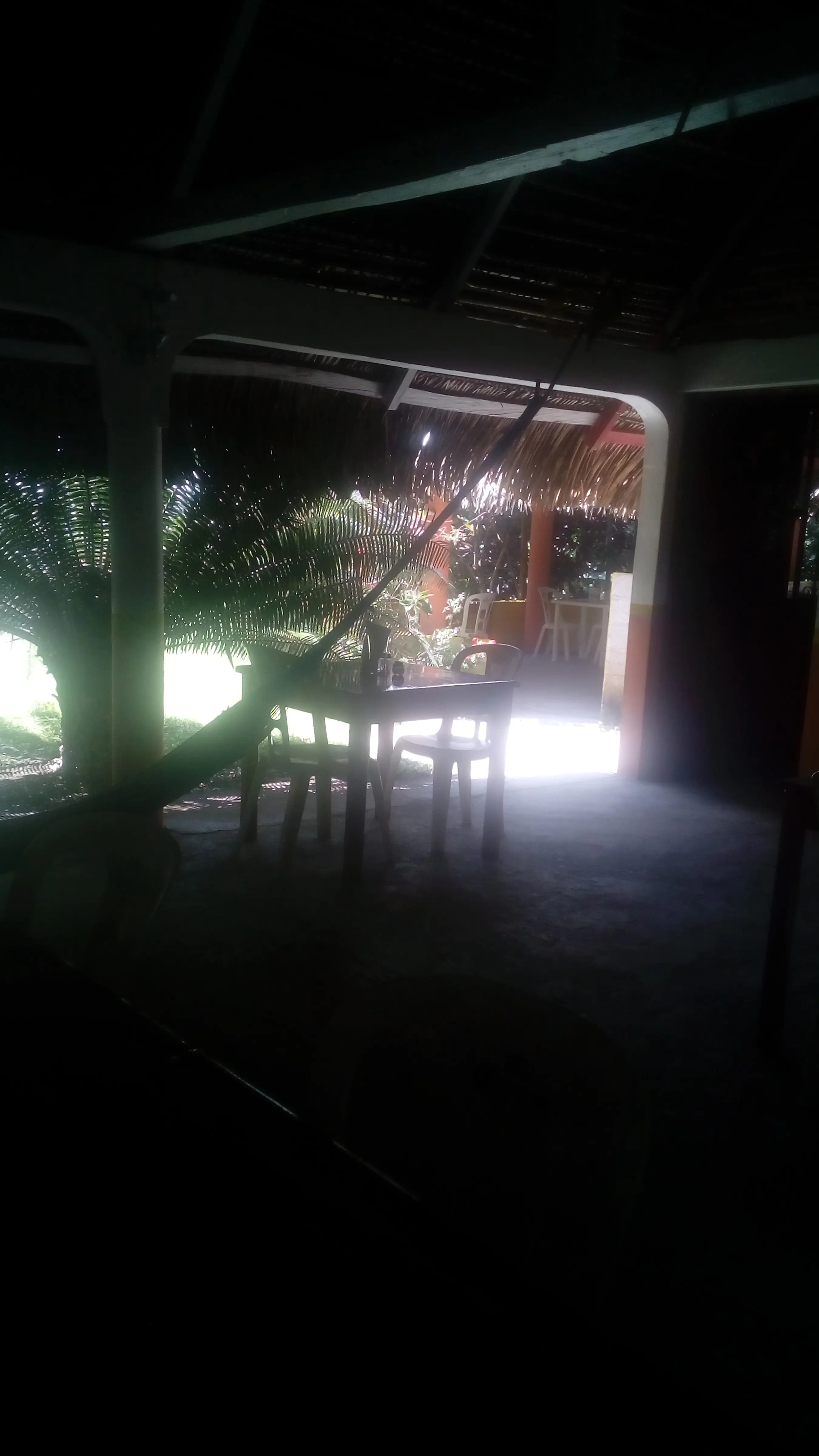 Restaurante,Las palmas image 10