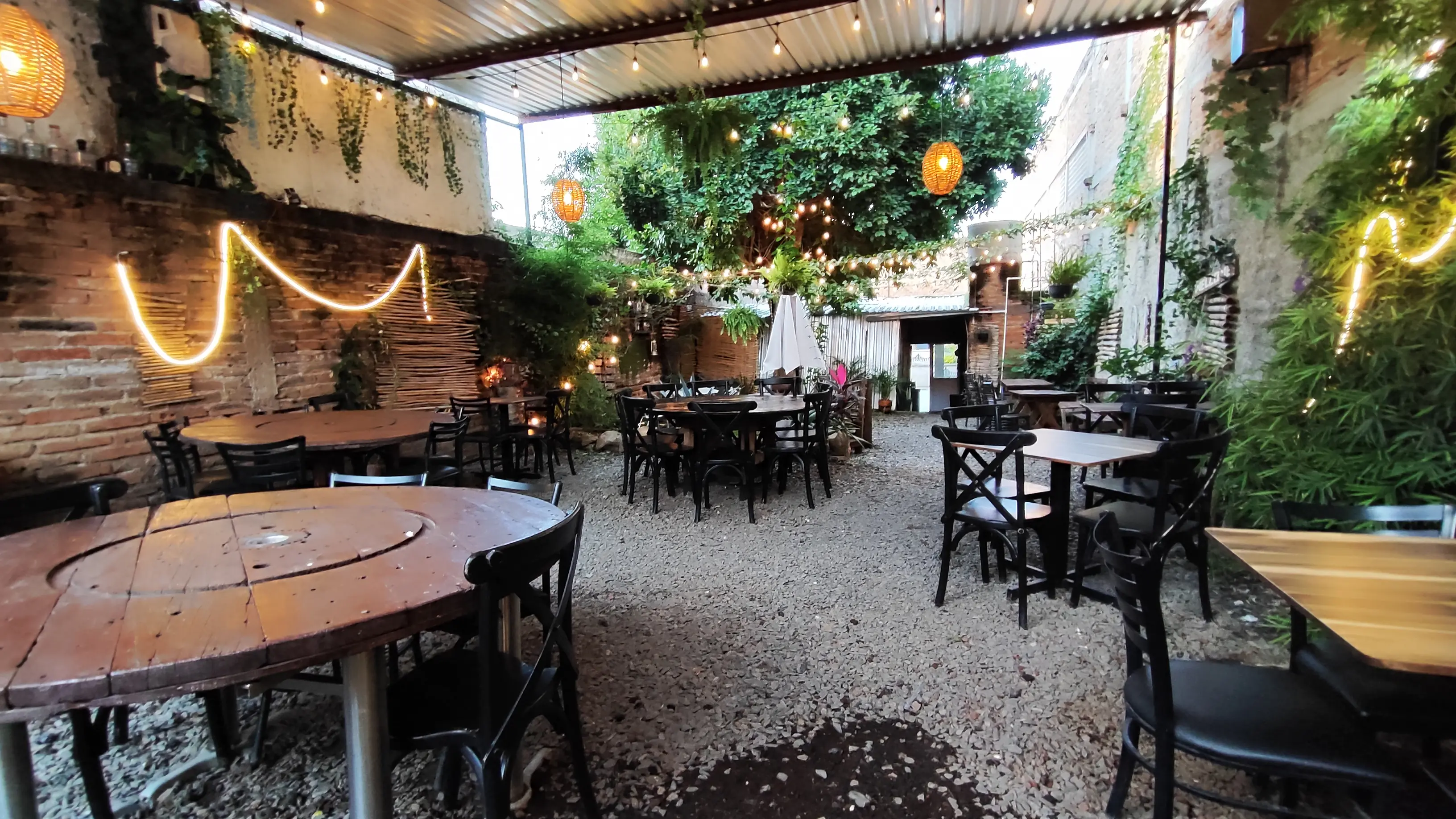 Casa Rubio - Portales Wings image 8