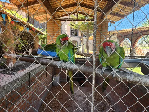 La Cañada image 7