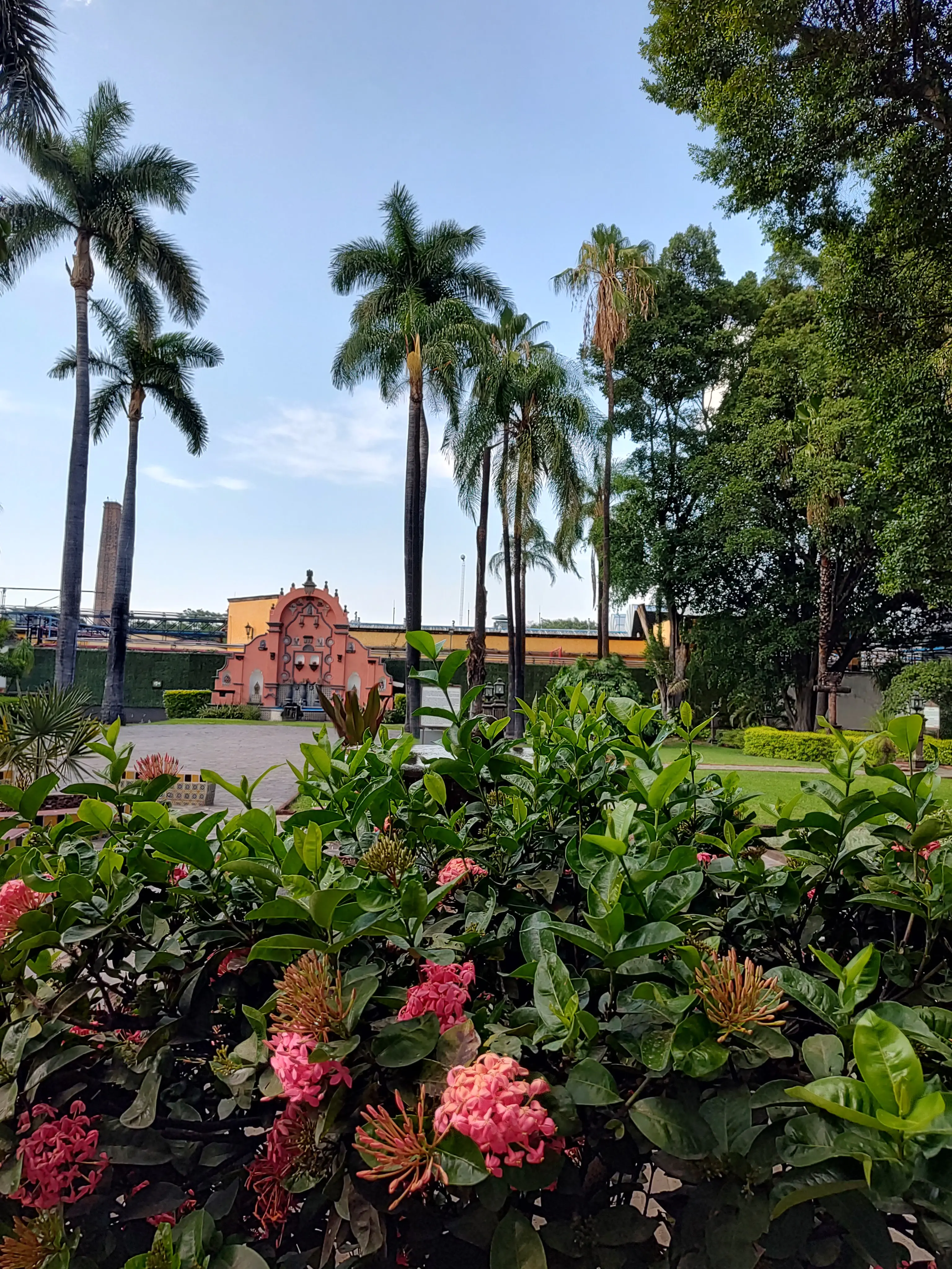 La Cueva de Don Cenobio image 8