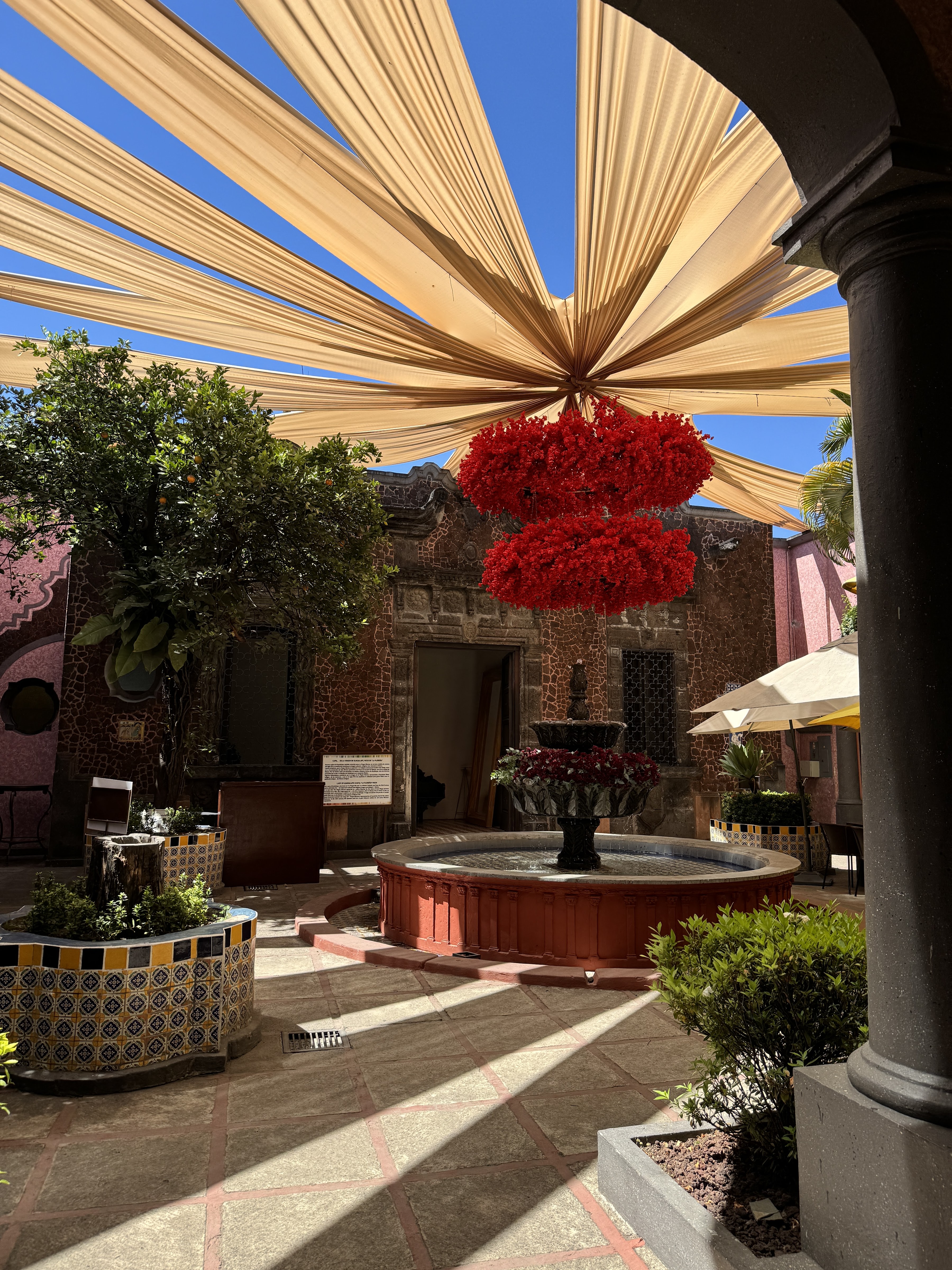 La Cueva de Don Cenobio image 10