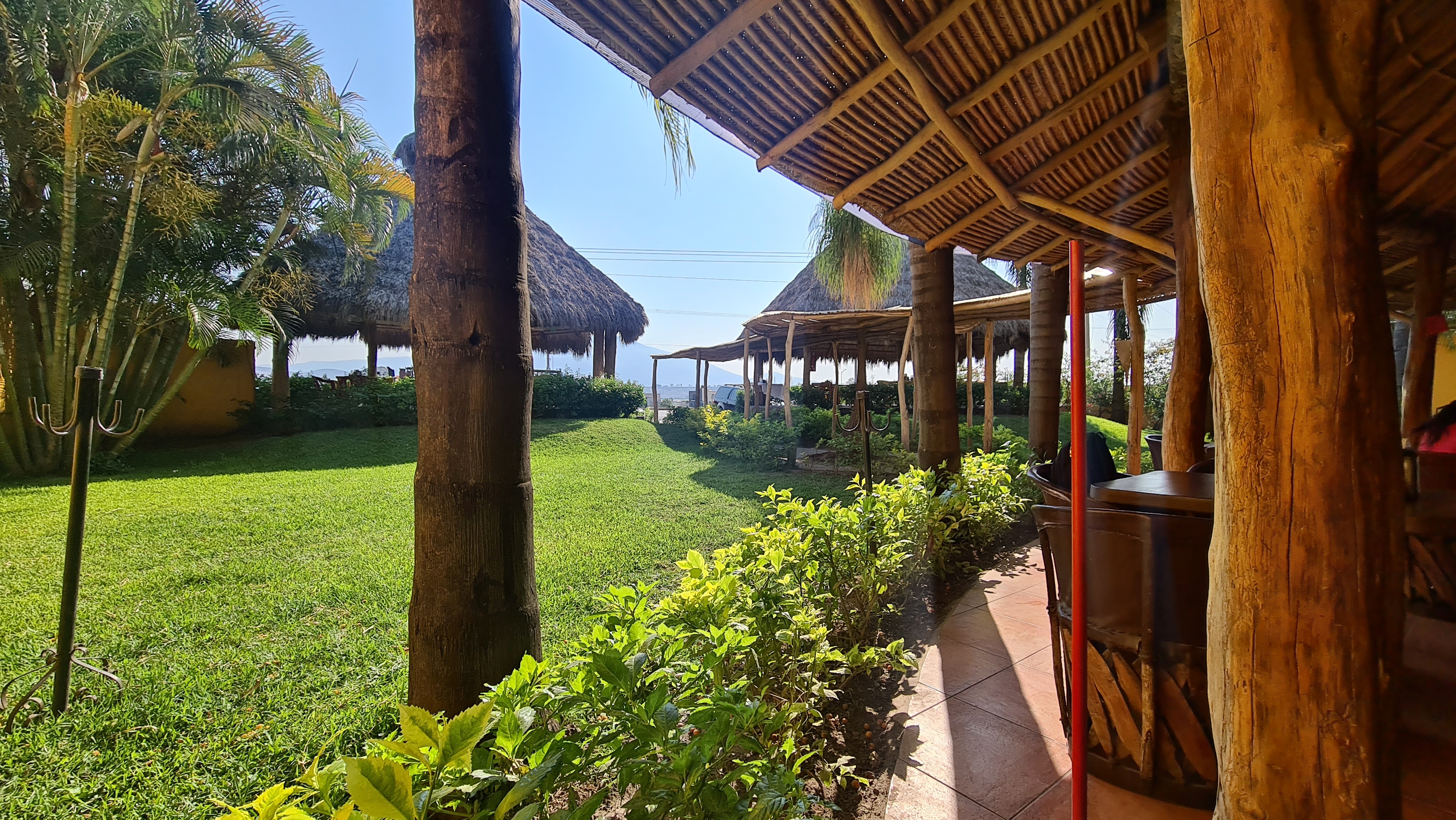 Soky Ahualulco de Mercado image 3