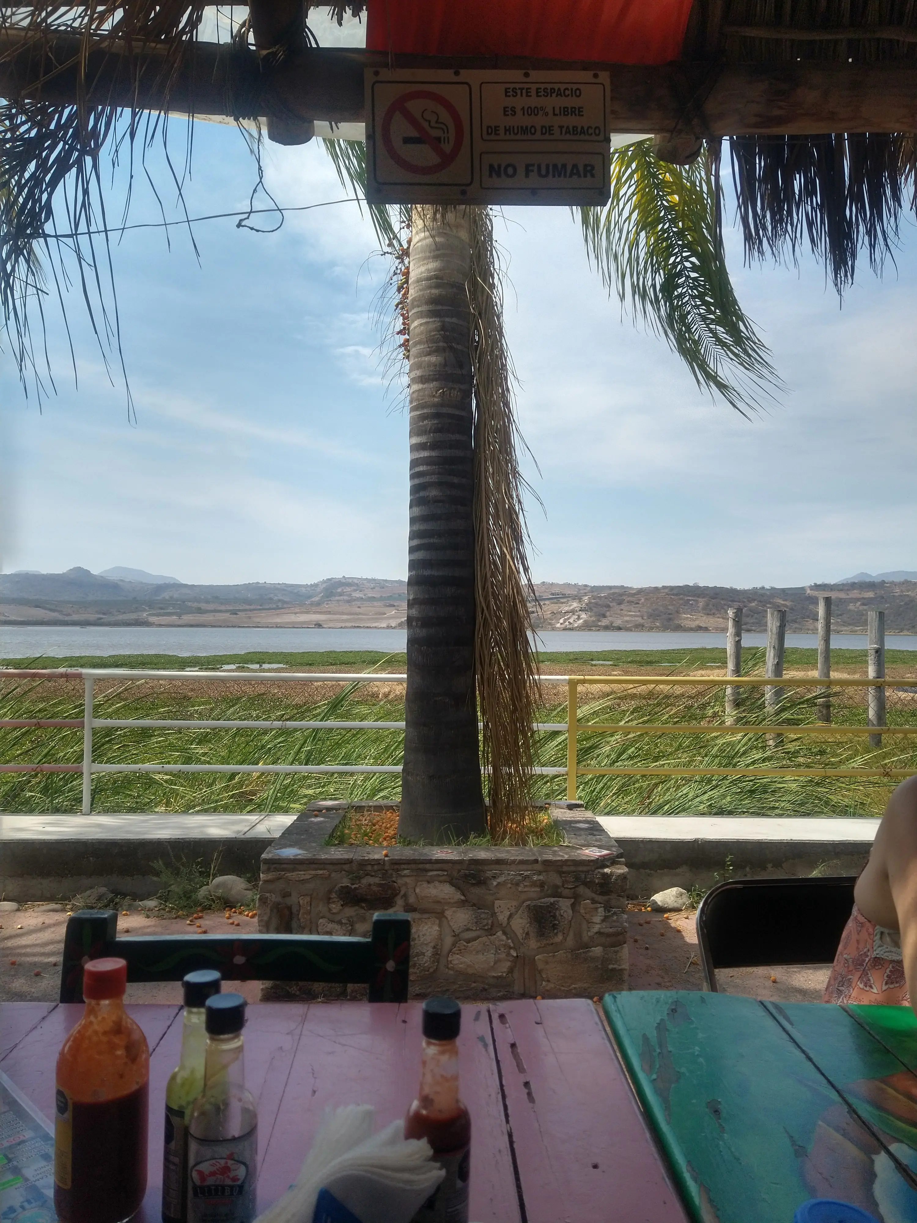 La Gaviota restaurante image 4