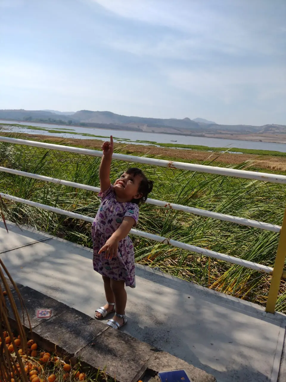 La Gaviota restaurante image 6