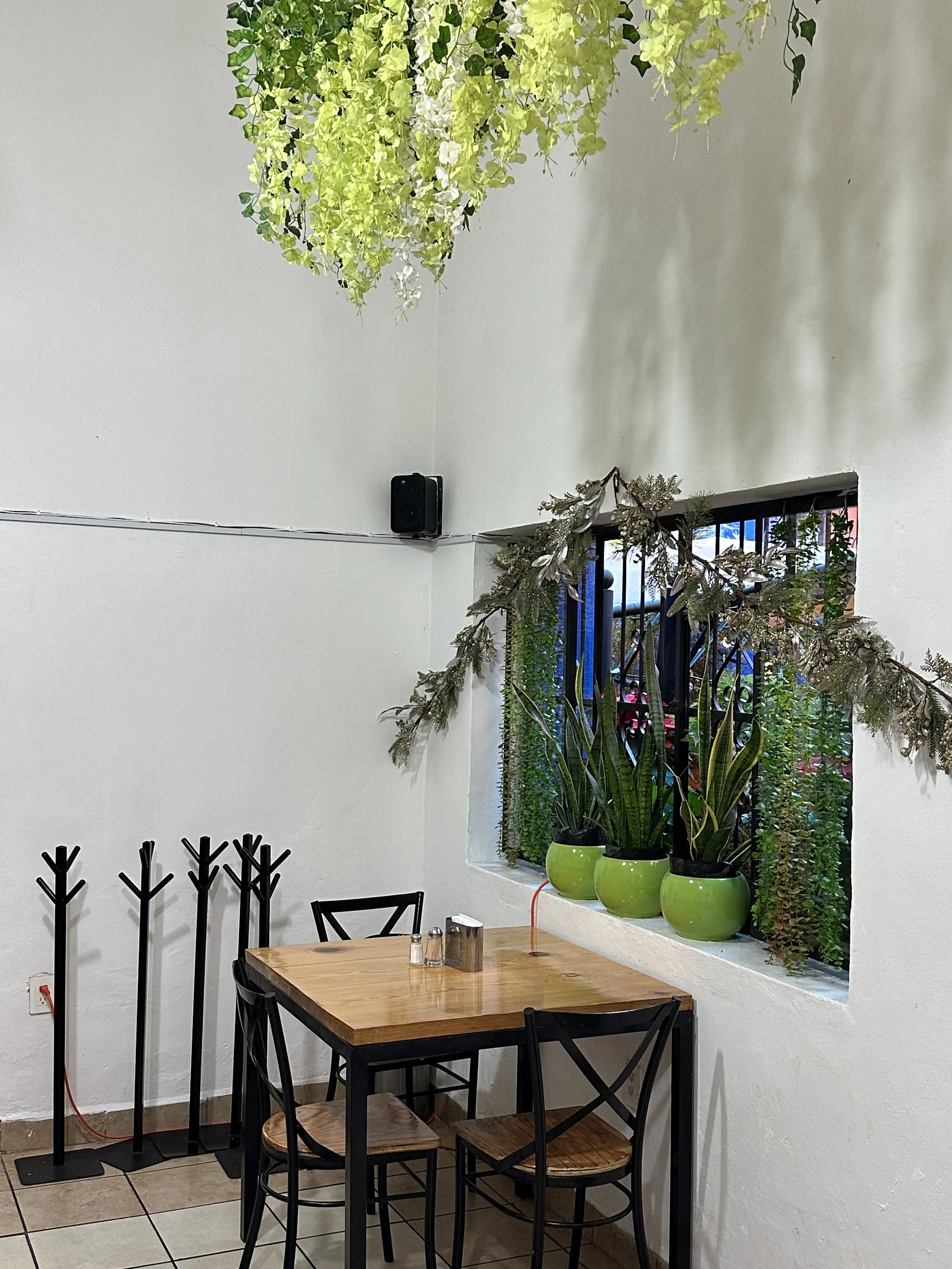 Fonda y Galeria La Damajuana image 9