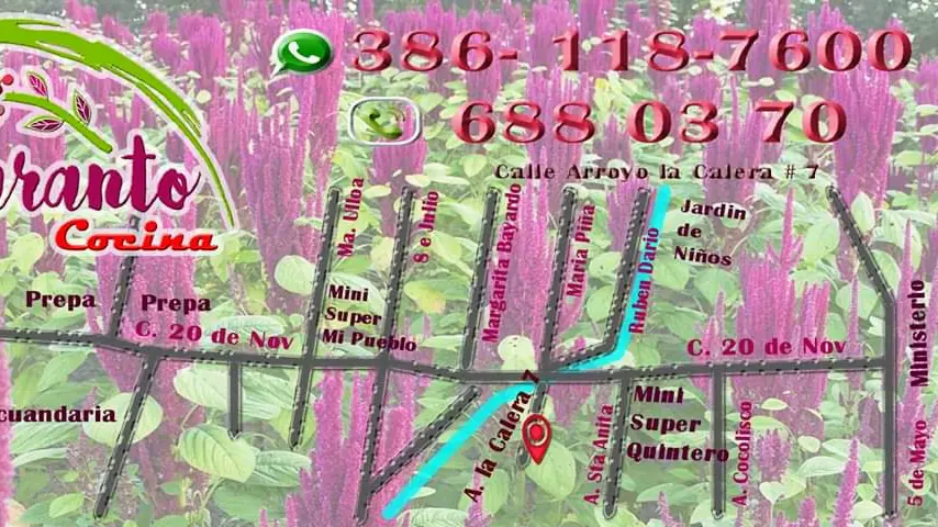 Amaranto Cocina Ahualulco image 3