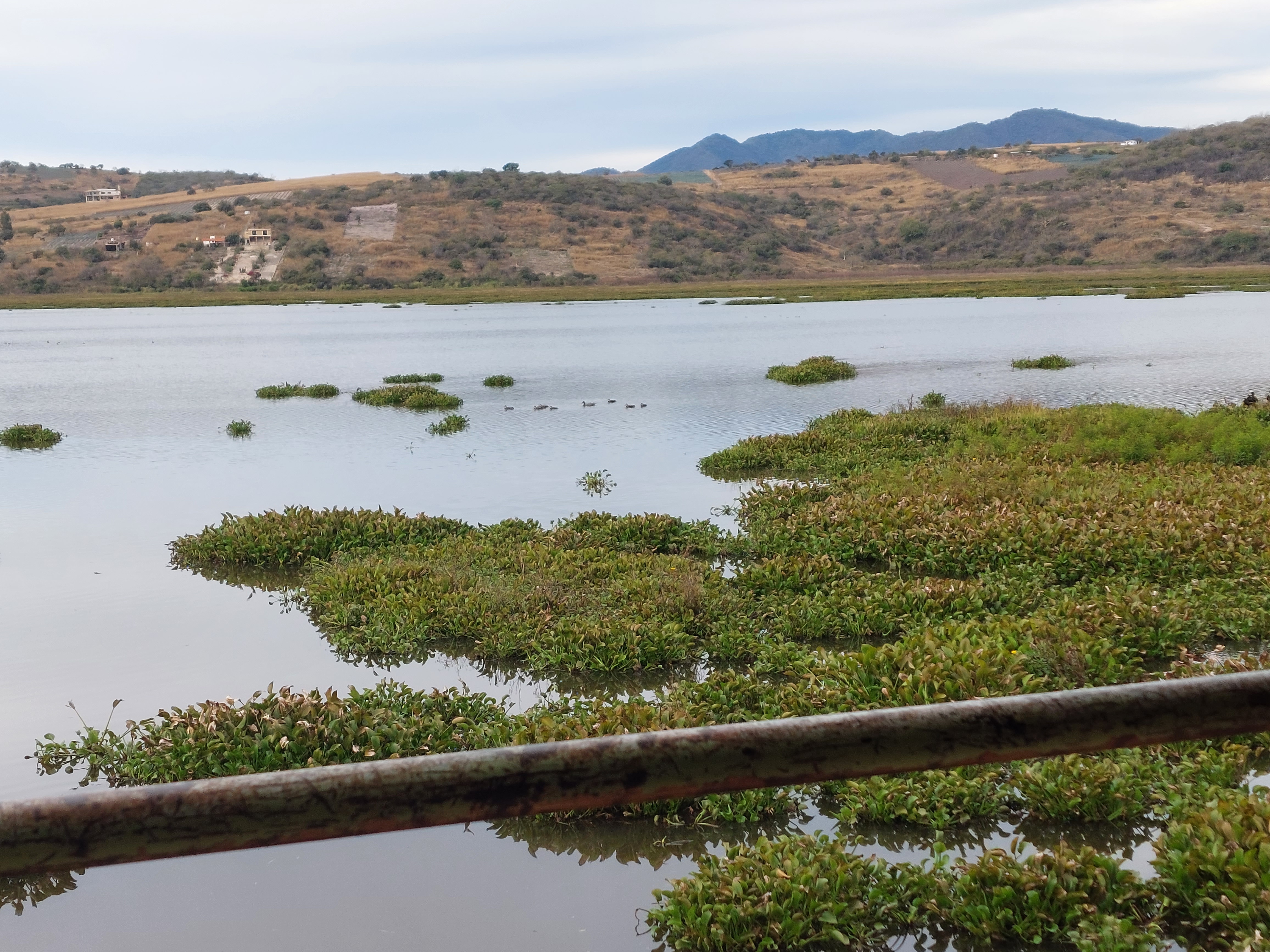 El Soky Laguna Etzatlan image 4