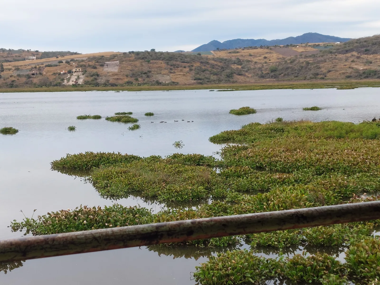 El Soky Laguna Etzatlan image 4