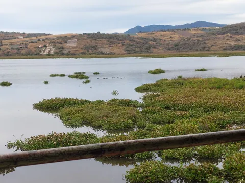 El Soky Laguna Etzatlan image 4