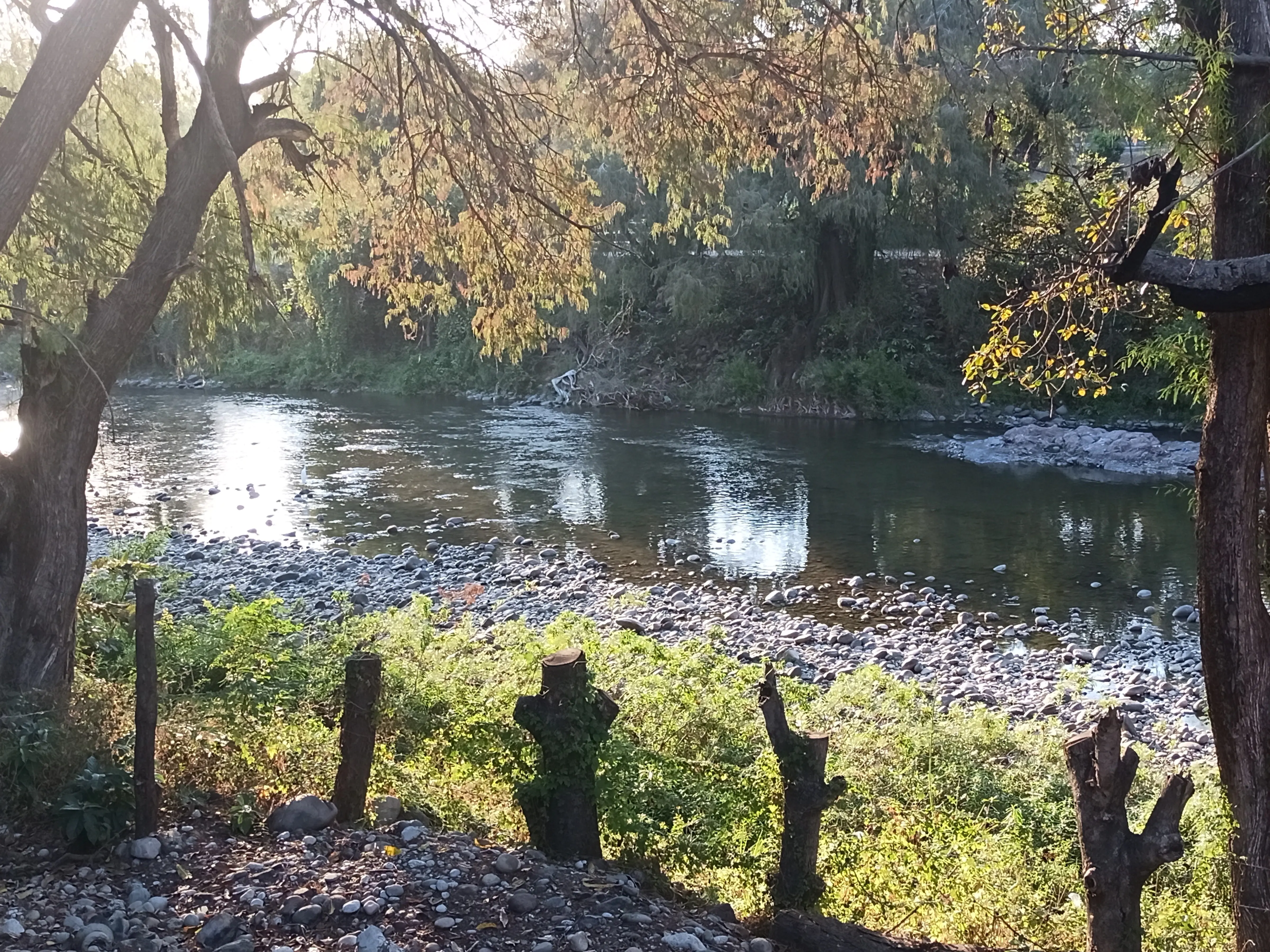 Menudo Doña Lucy image 4