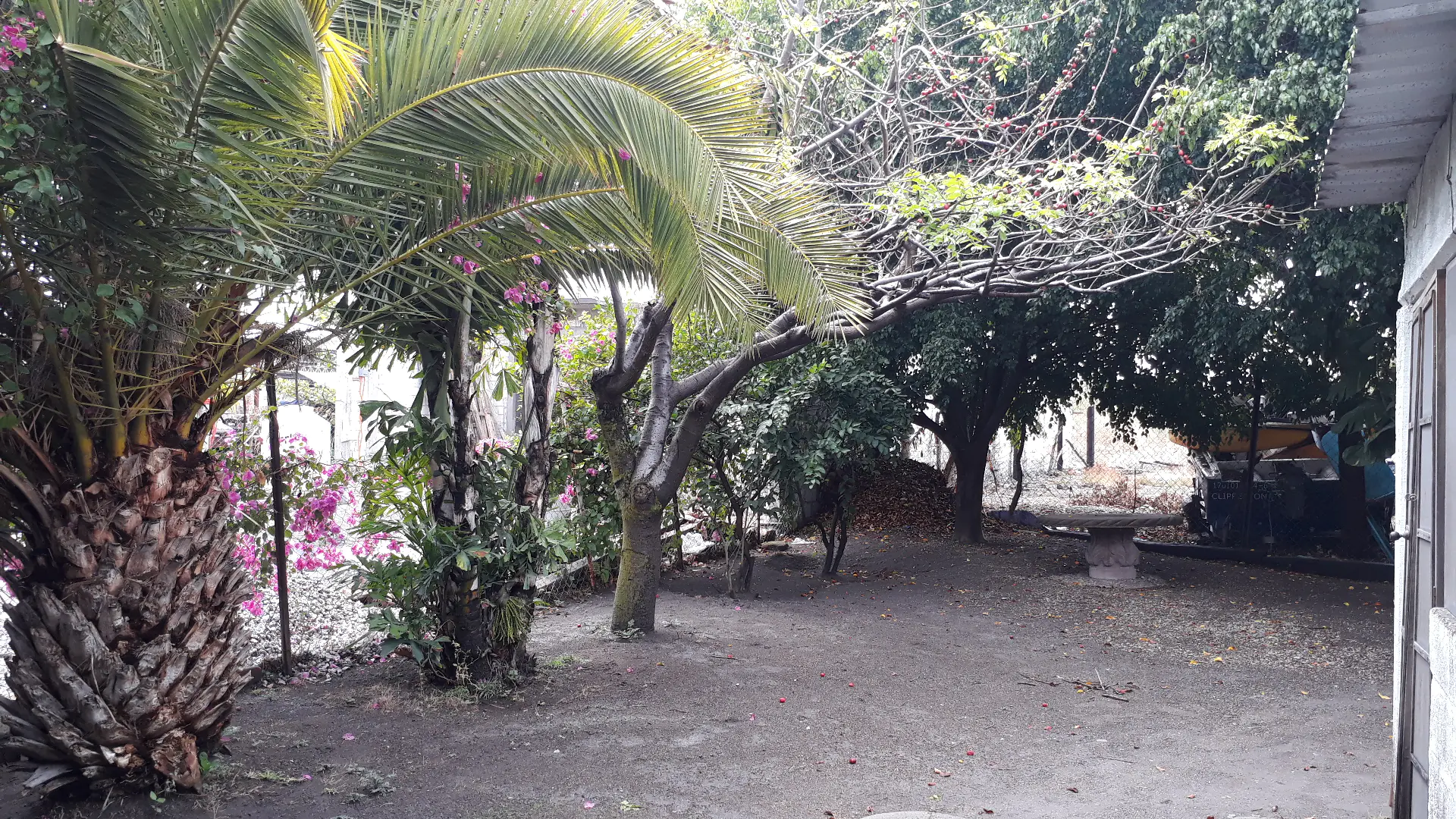 Restaurante "El Padrino" image 8