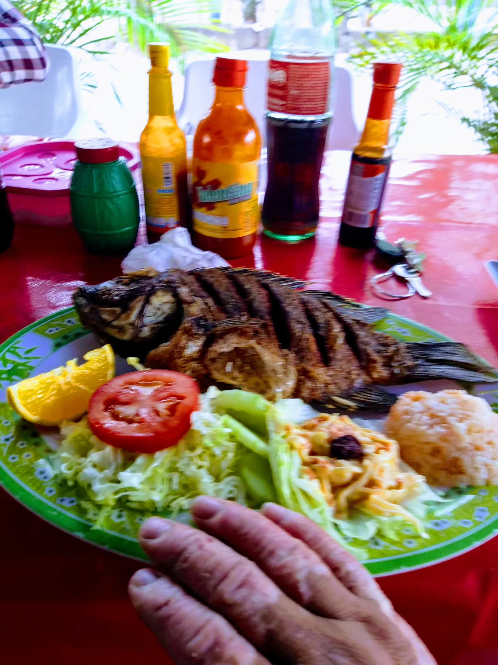 Palapa Gena image 2