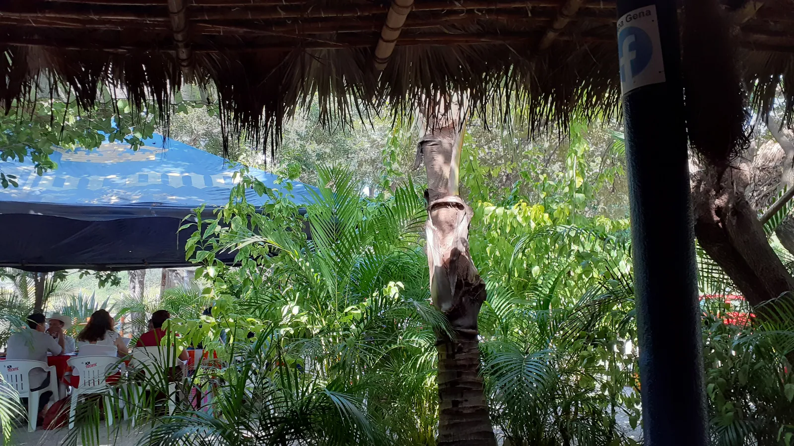 Palapa Gena image 5