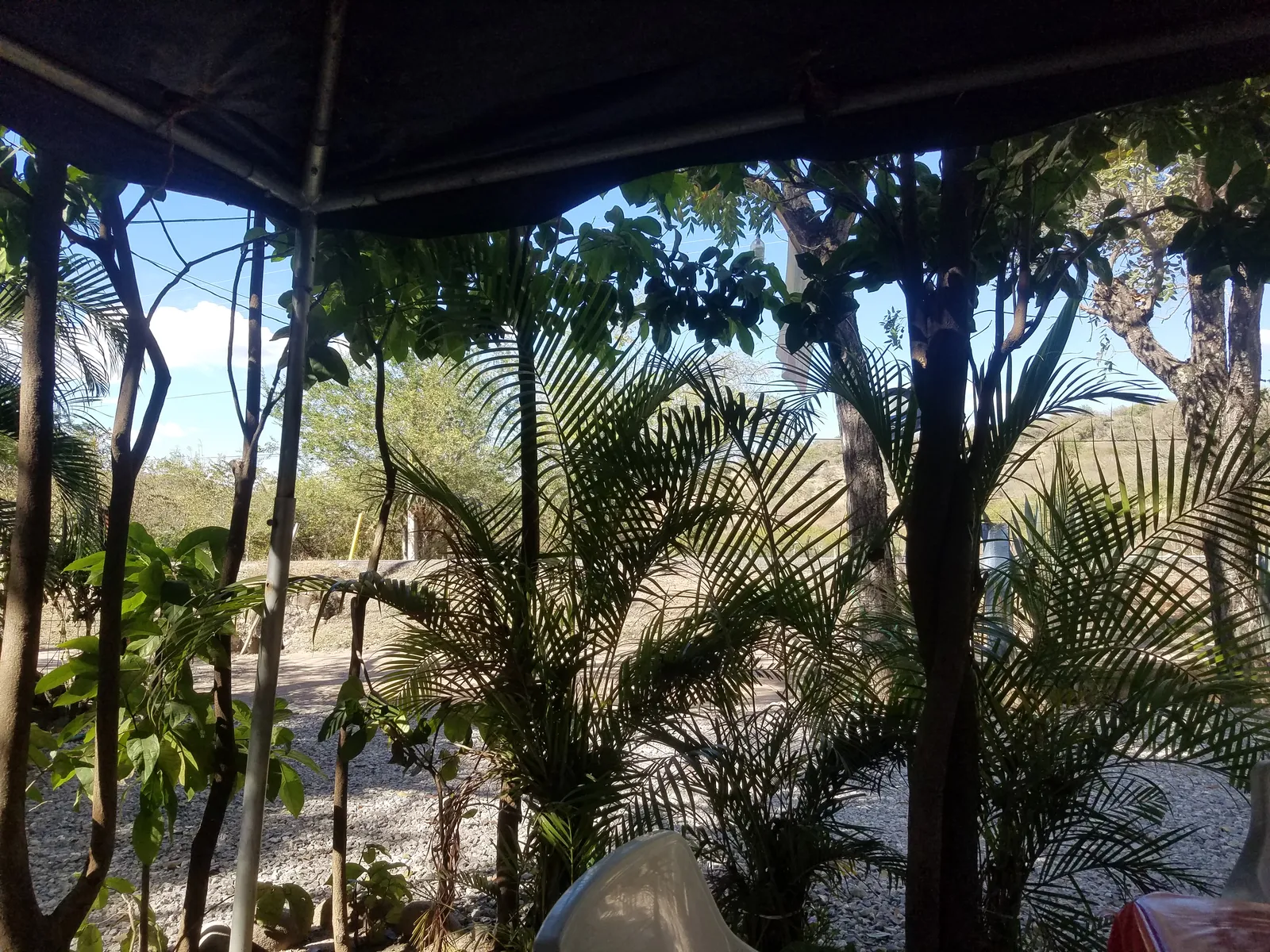Palapa Gena image 8