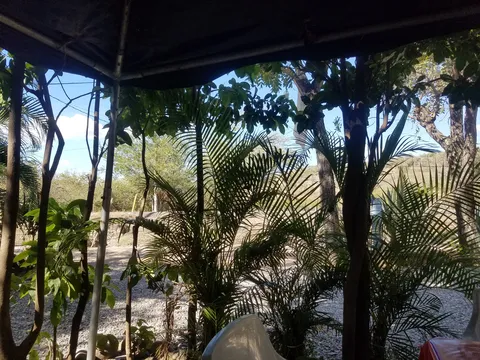 Palapa Gena image 8