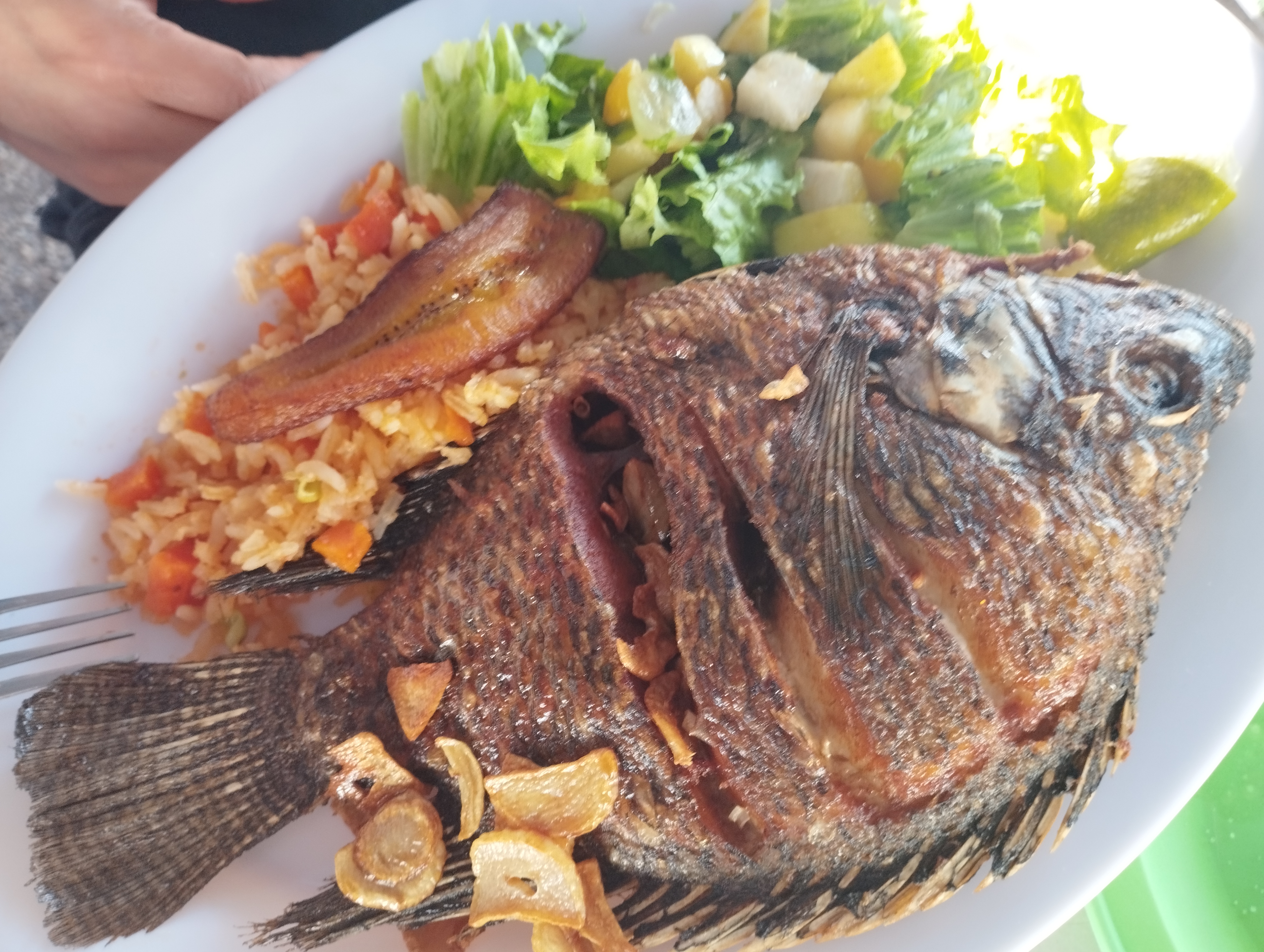 Restaurante Playa La Palapa image 2