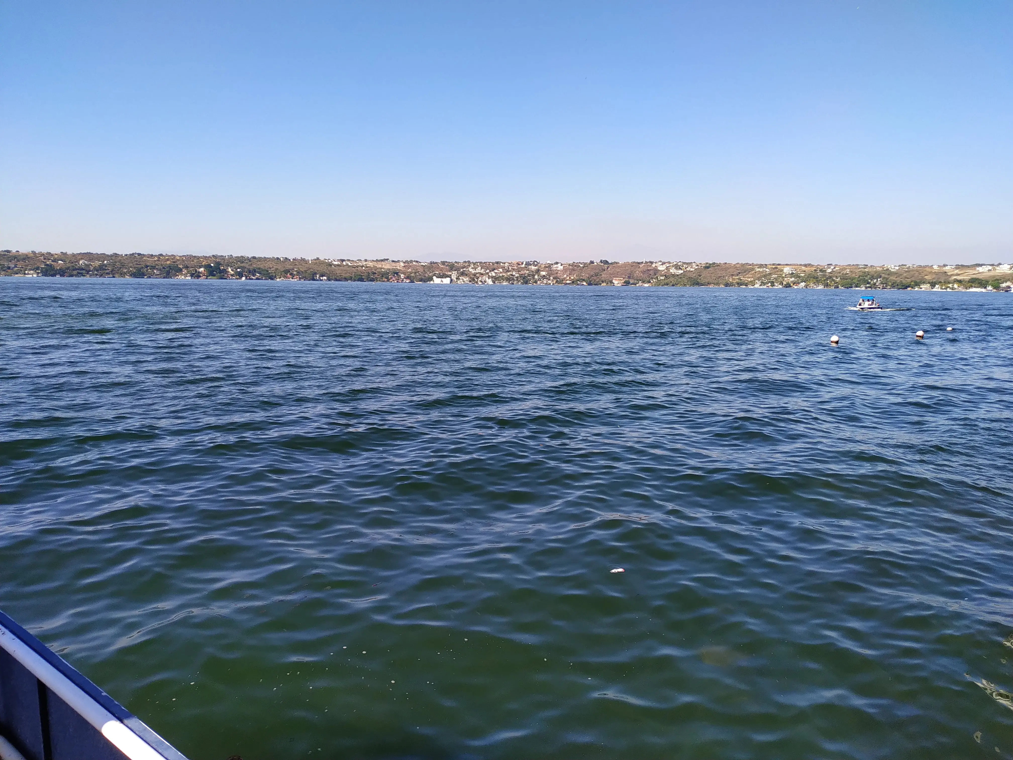 Restaurante Playa La Palapa image 3