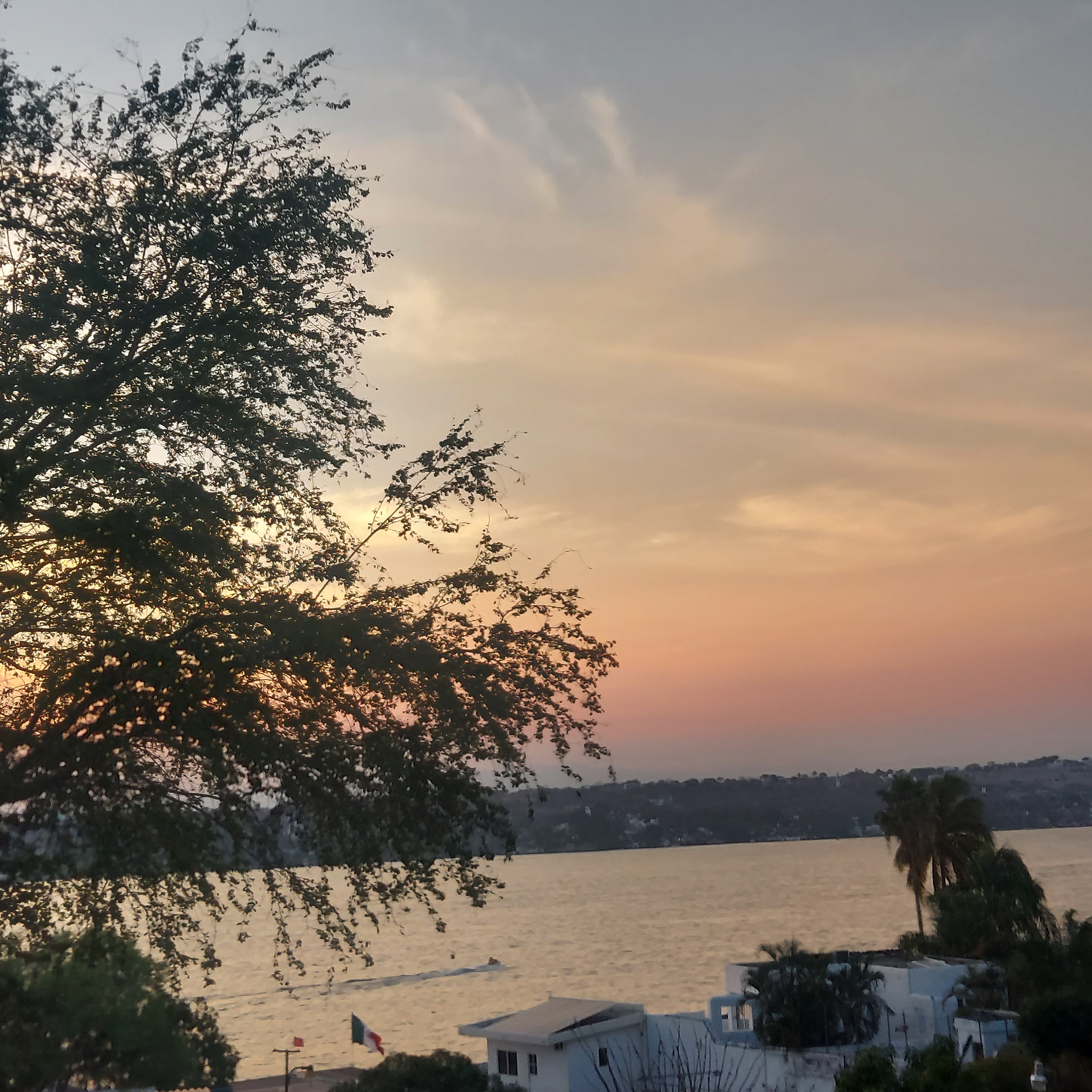 Restaurante Playa La Palapa image 8