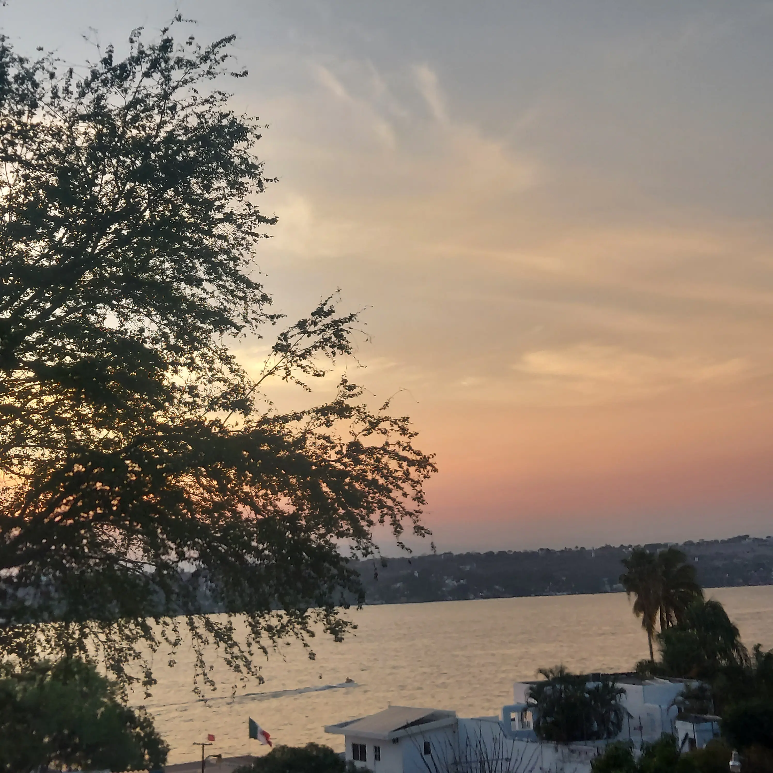 Restaurante Playa La Palapa image 8