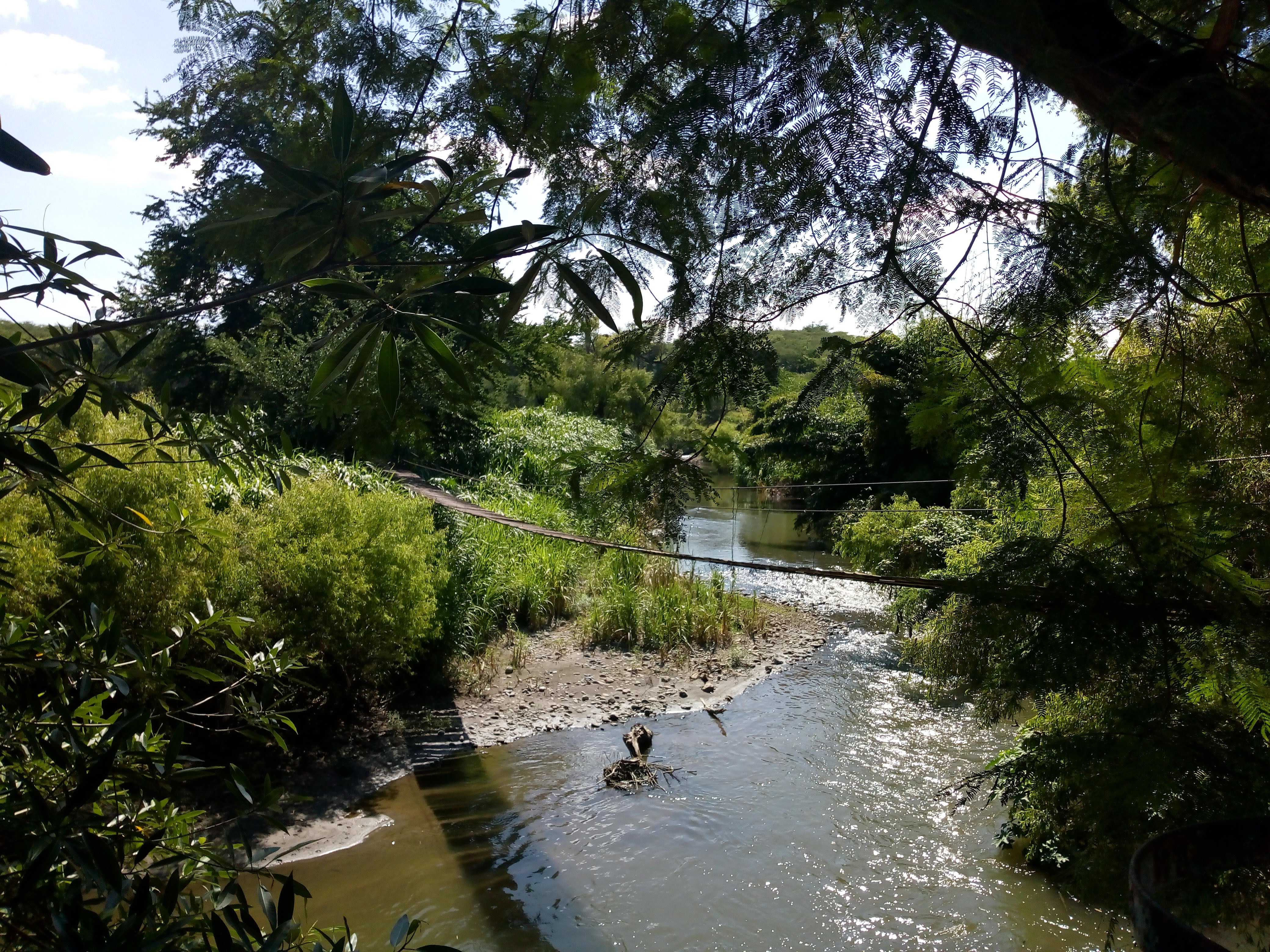 Restaurante El Coquito image 3