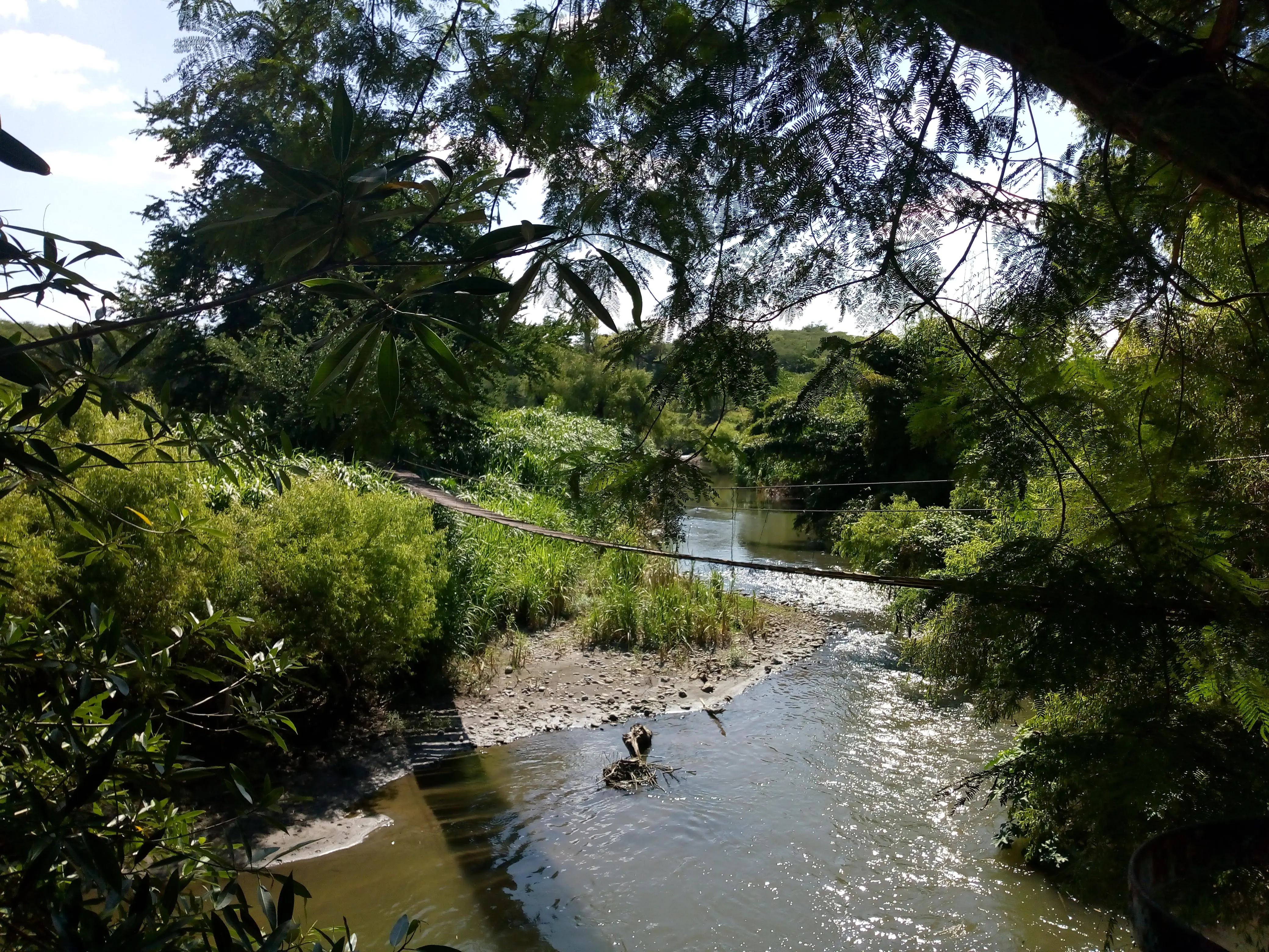 Restaurante El Coquito image 3